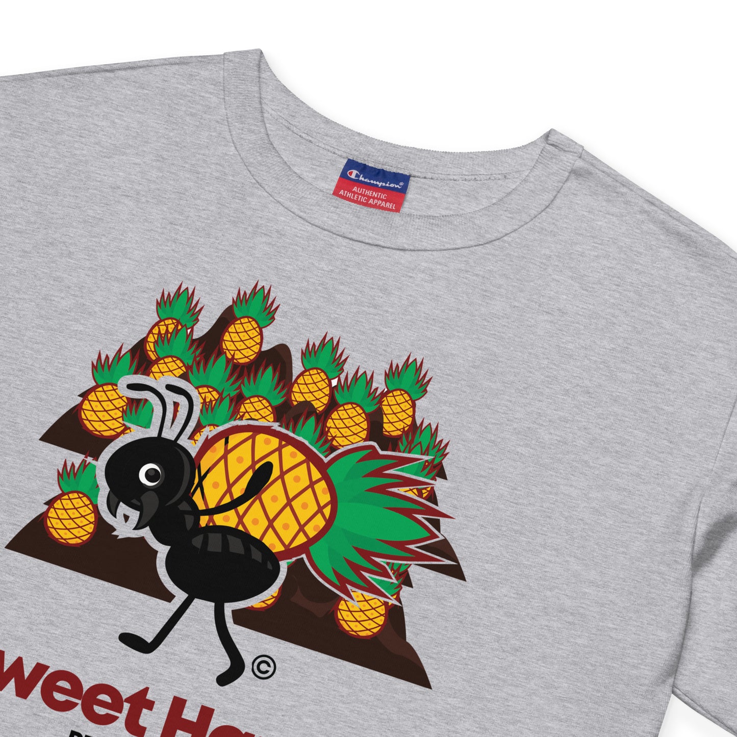 Sweet Harvest Champion Crop Top