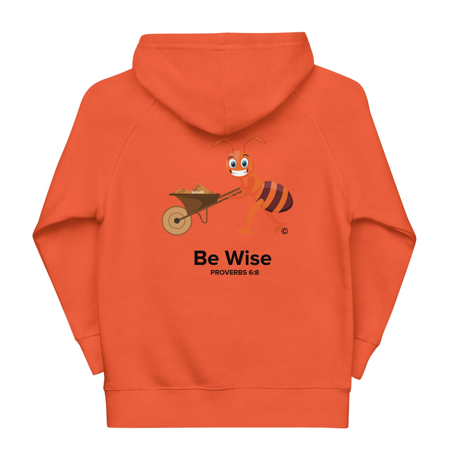 Be Wise Kids Eco Hoodie