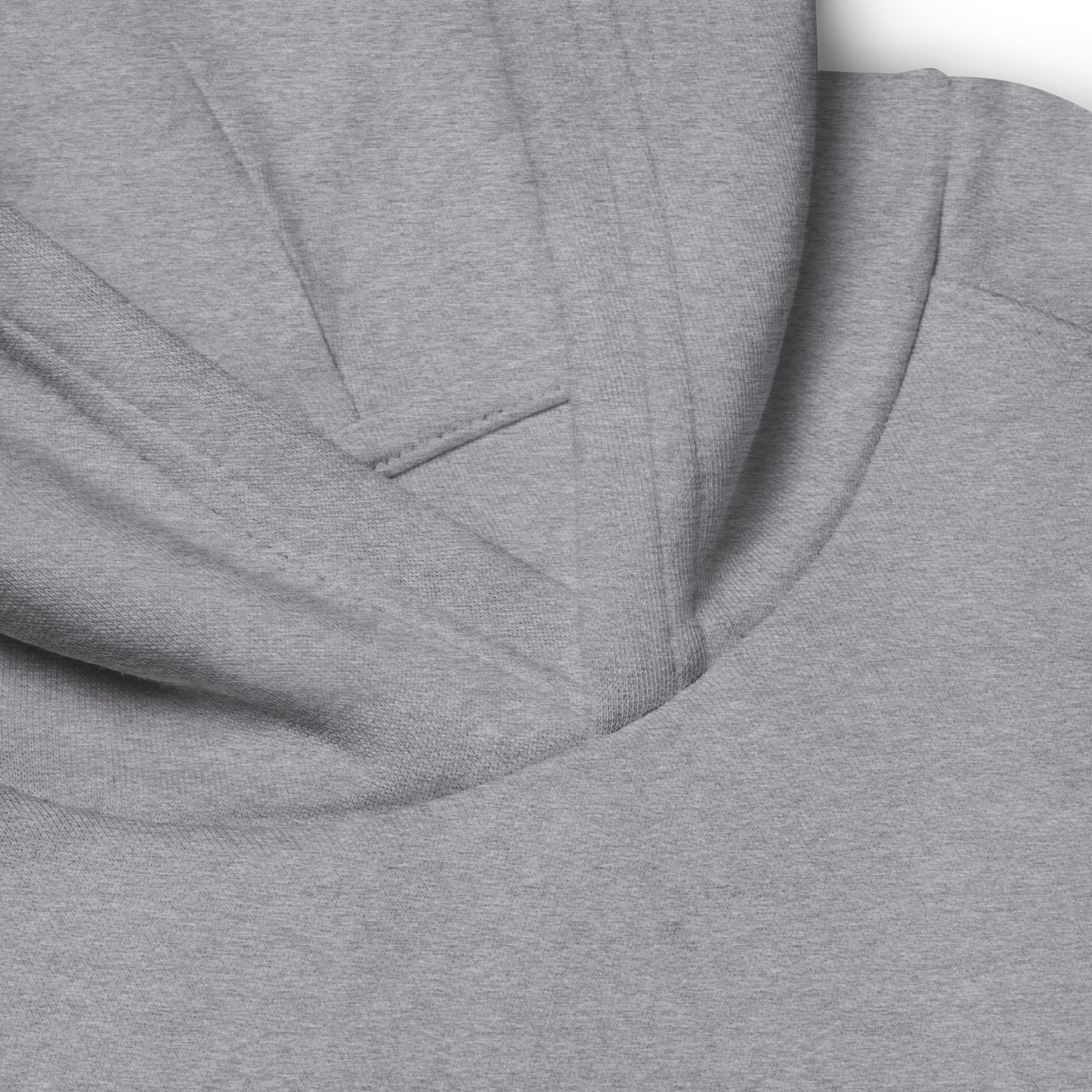 Riches Do Not Benefit Kids Eco Hoodie