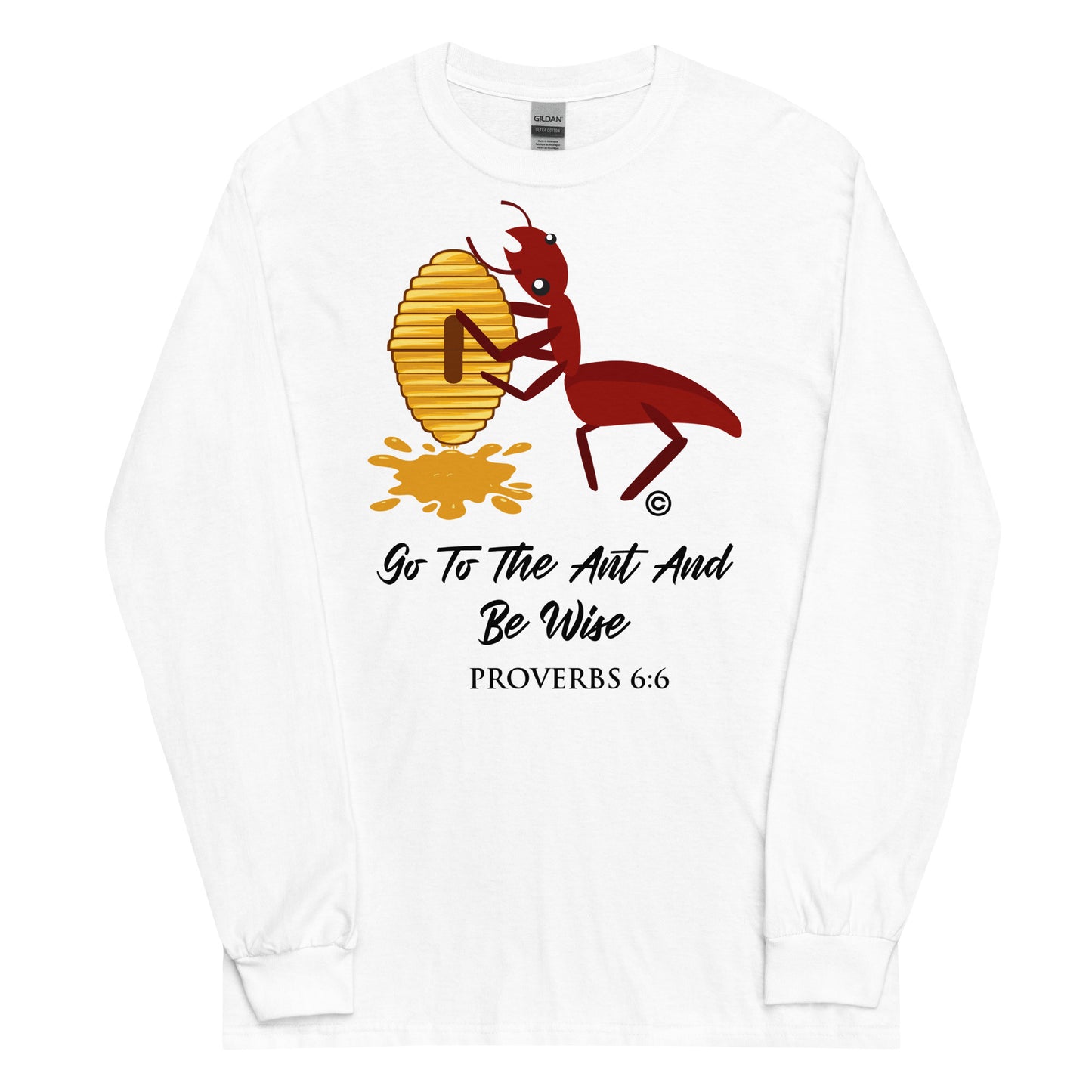 Be Wise Men’s Long Sleeve Shirt