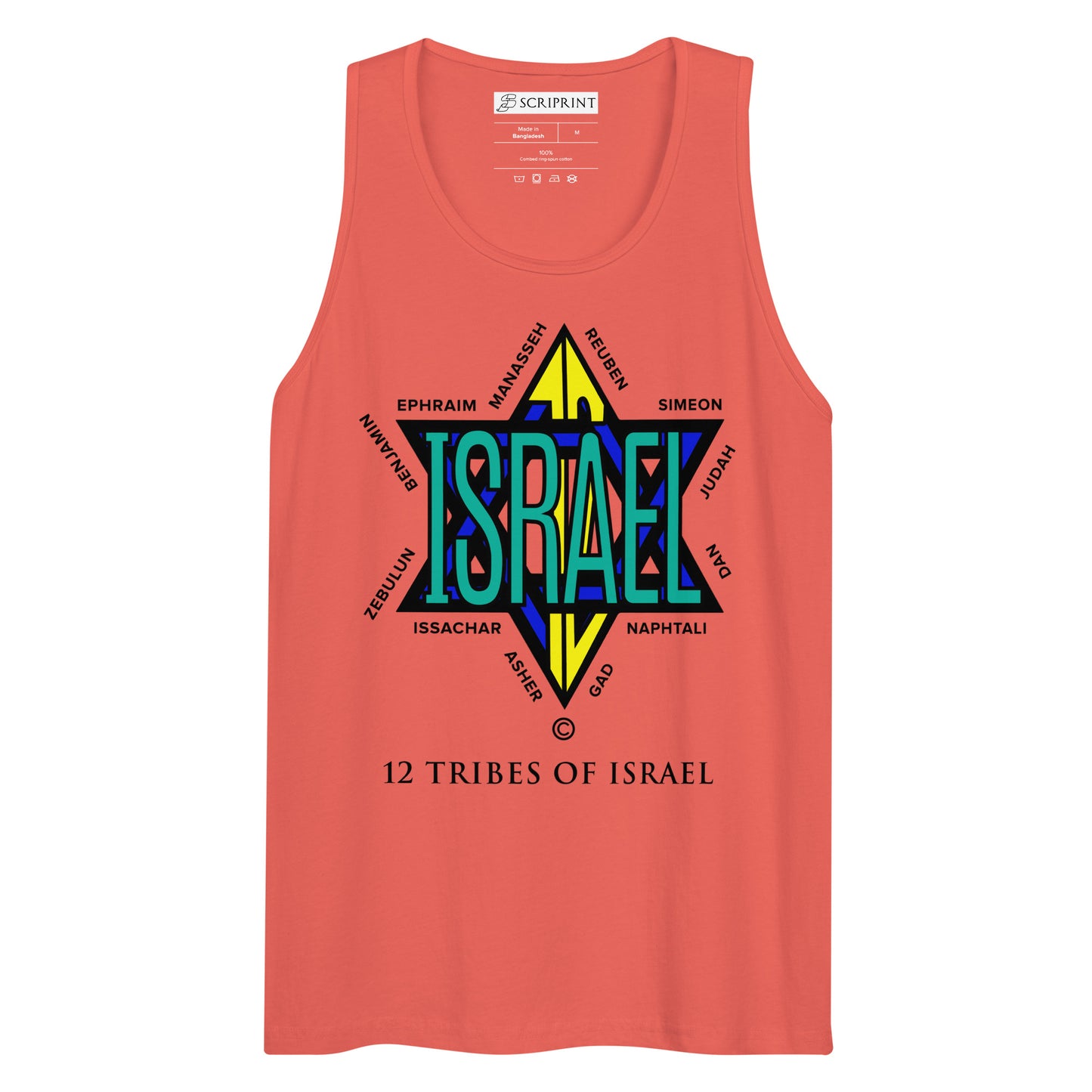 12 Tribes of Israel Men’s Premium Tank Top