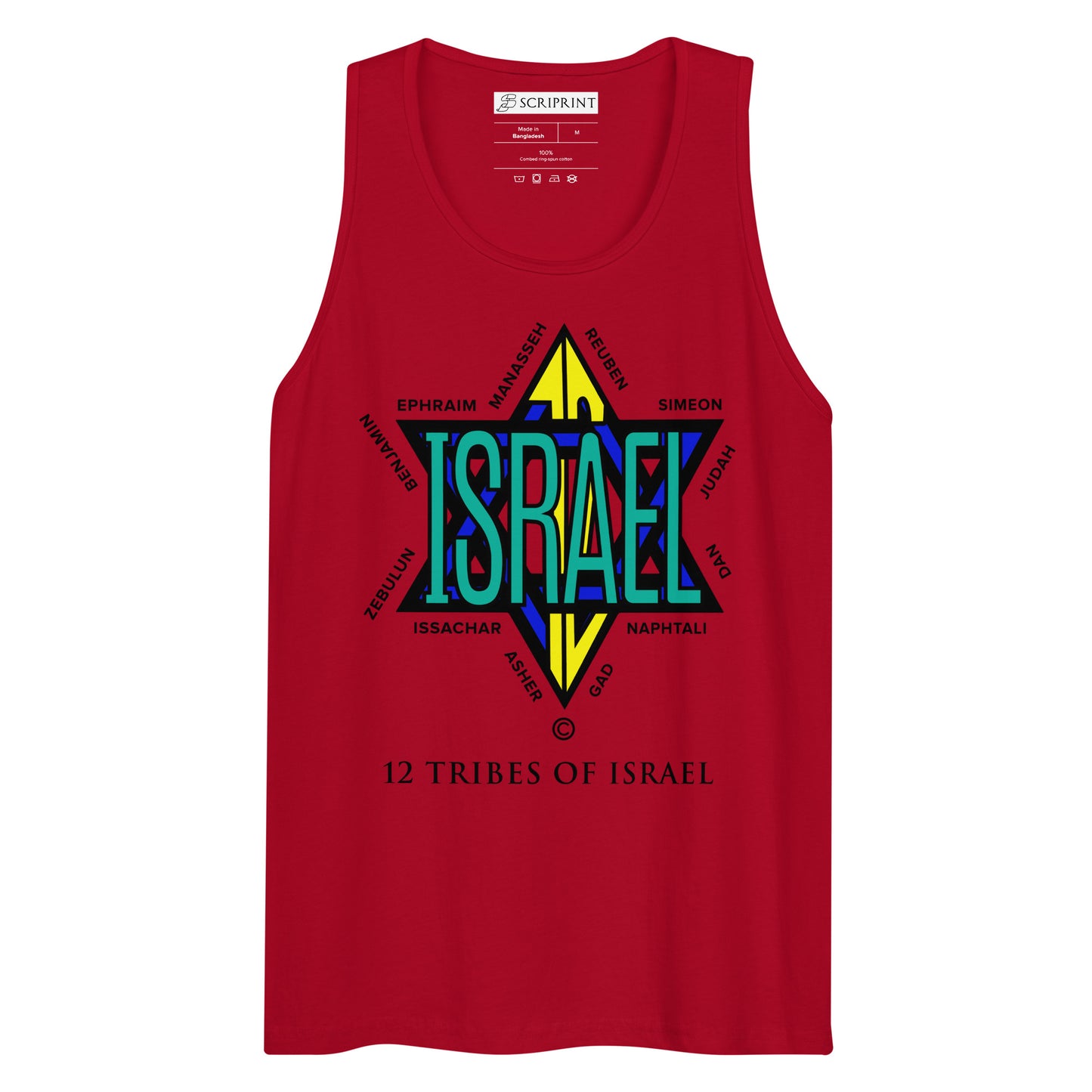 12 Tribes of Israel Men’s Premium Tank Top