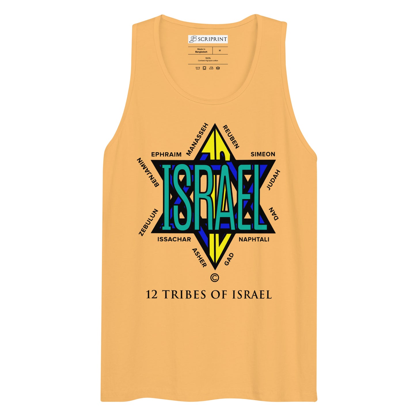 12 Tribes of Israel Men’s Premium Tank Top