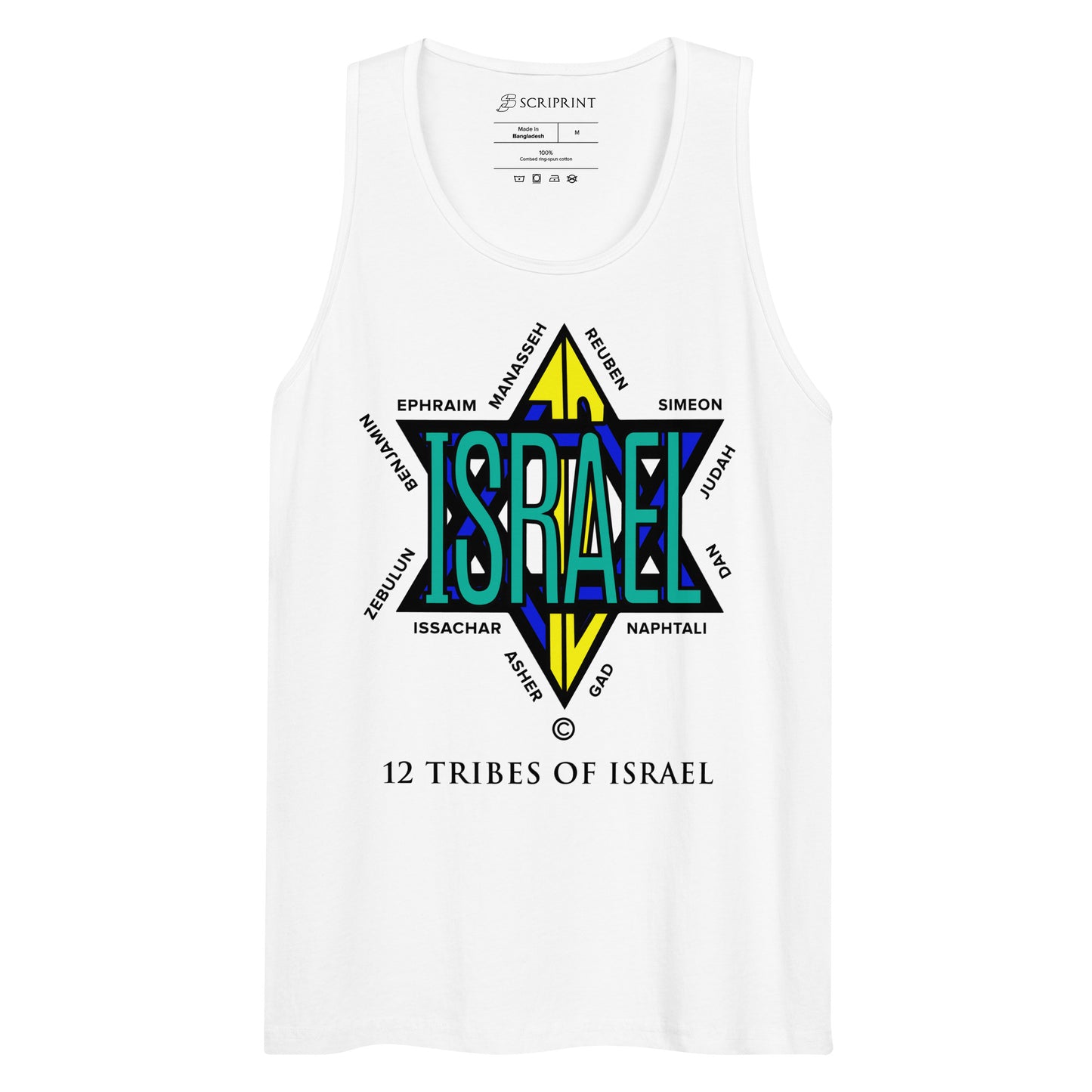 12 Tribes of Israel Men’s Premium Tank Top