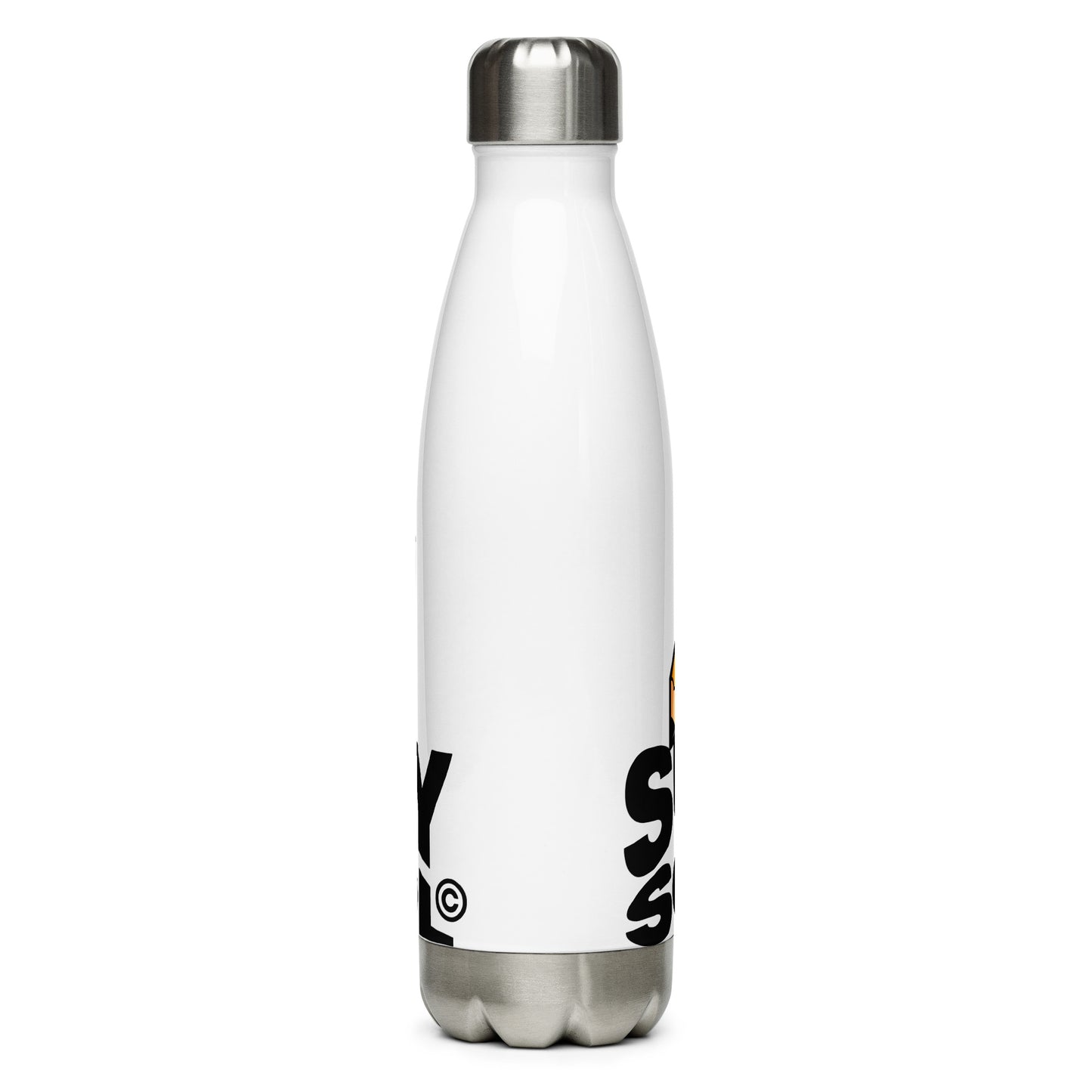 Sunday School Stainless Steel Water Bottle