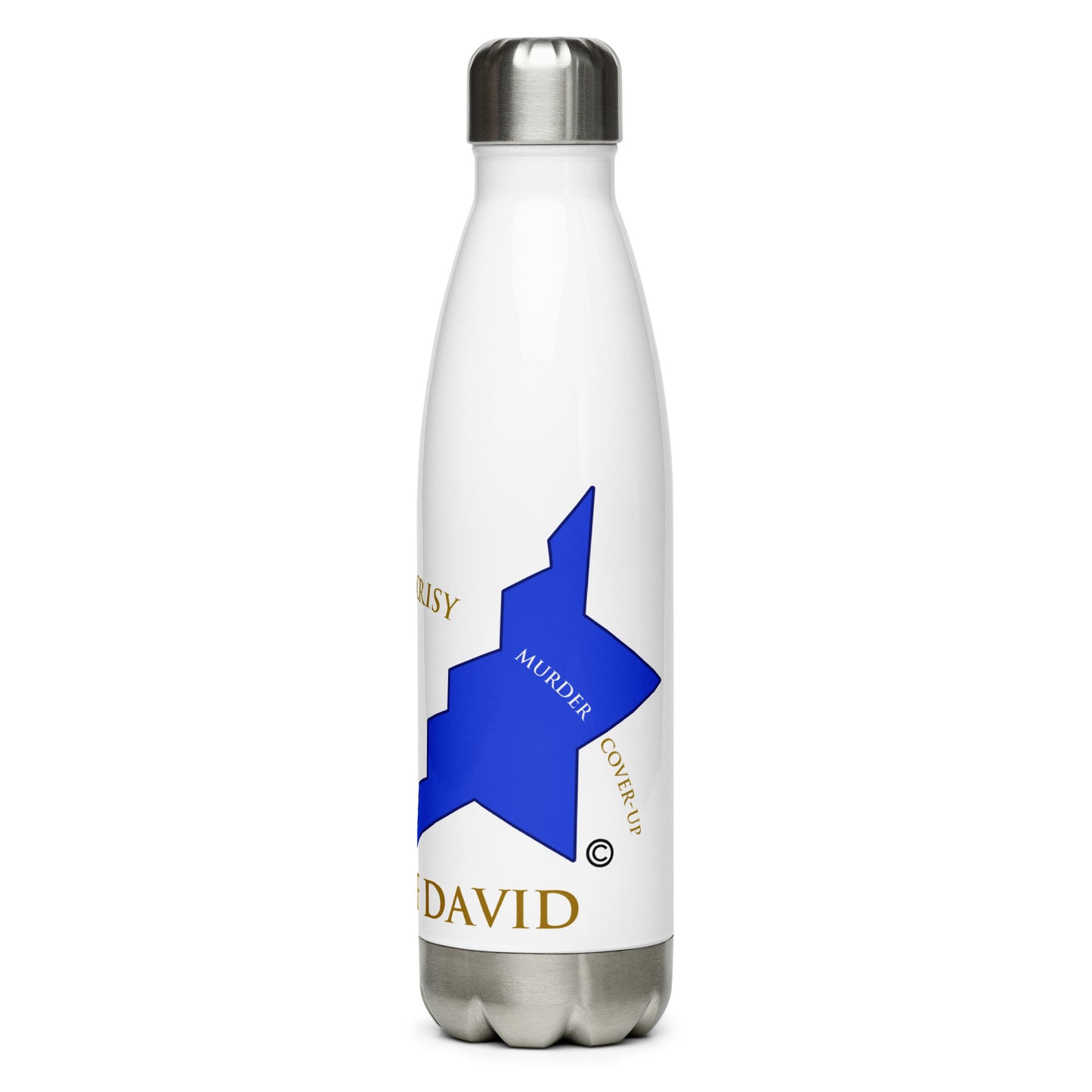 Scars of David Stainless Steel Water Bottle