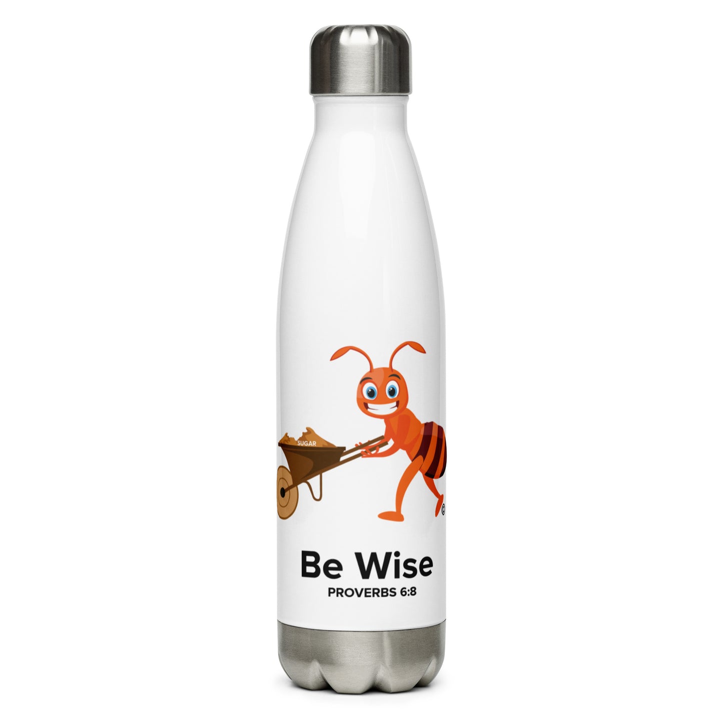 Be Wise Stainless Steel Water Bottle