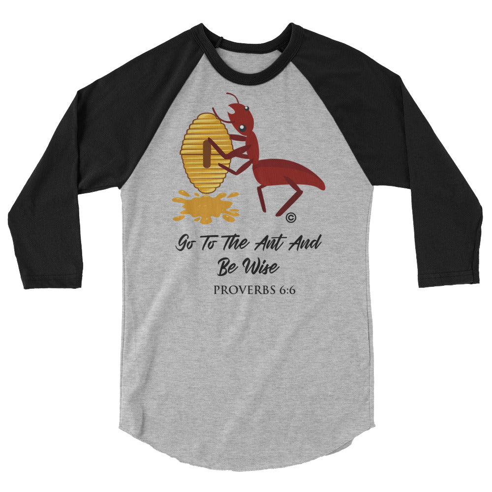Be Wise 3/4 Sleeve Raglan Shirt