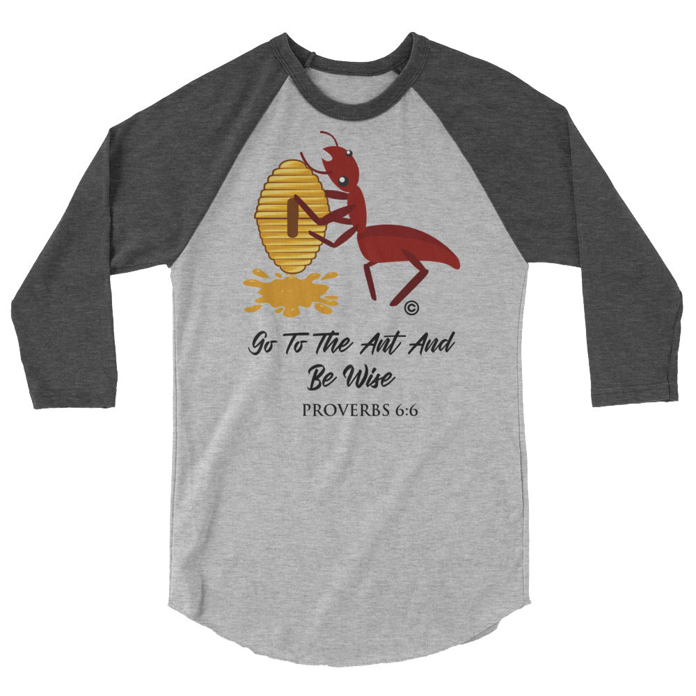 Be Wise 3/4 Sleeve Raglan Shirt