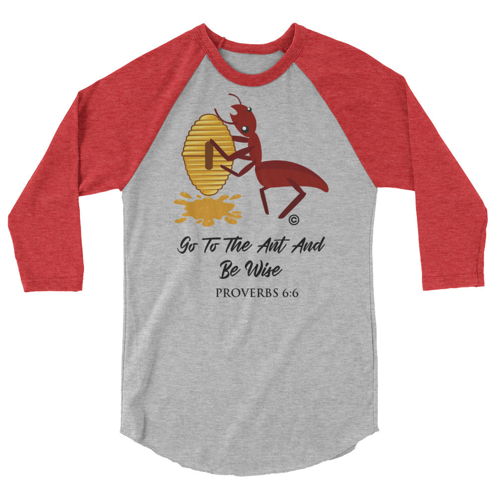Be Wise 3/4 Sleeve Raglan Shirt