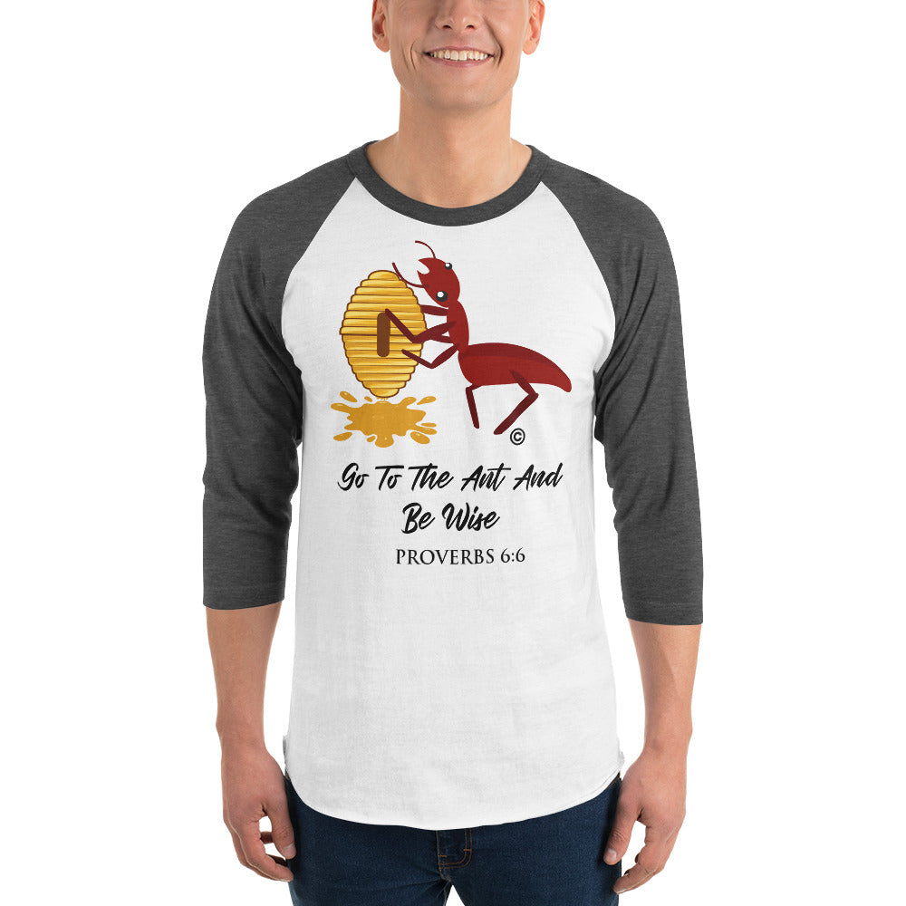 Be Wise 3/4 Sleeve Raglan Shirt