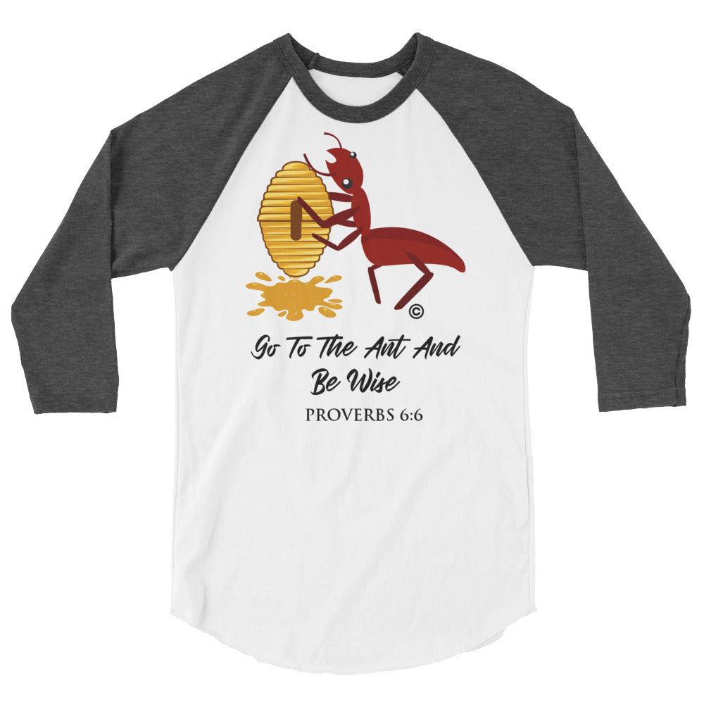 Be Wise 3/4 Sleeve Raglan Shirt