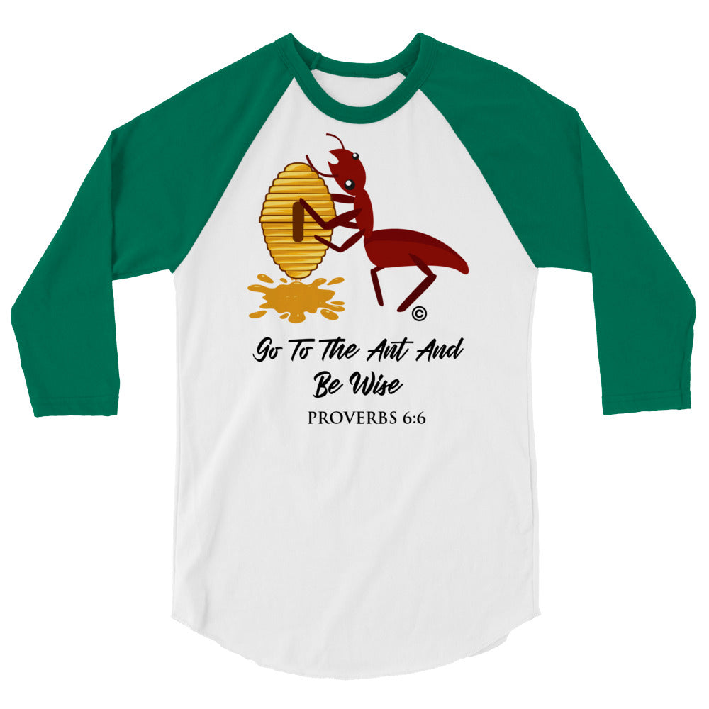 Be Wise 3/4 Sleeve Raglan Shirt