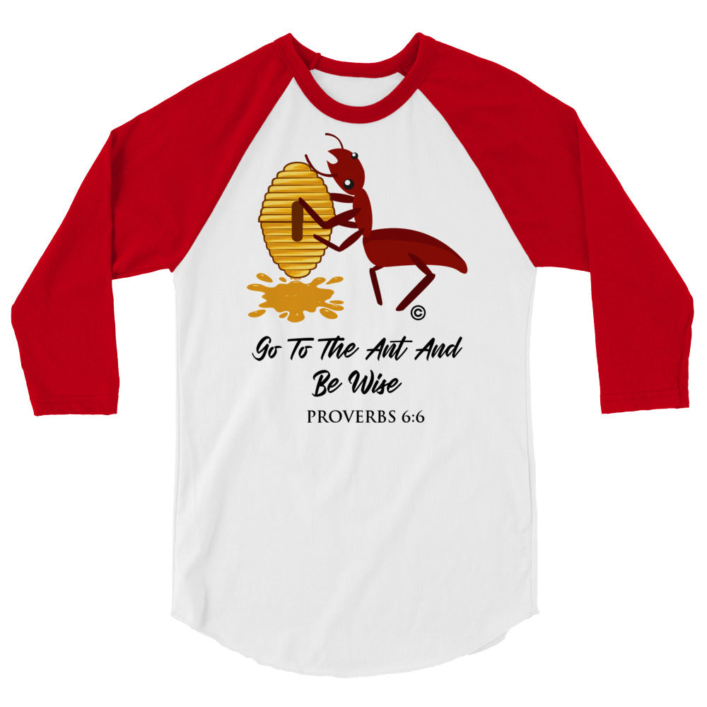 Be Wise 3/4 Sleeve Raglan Shirt