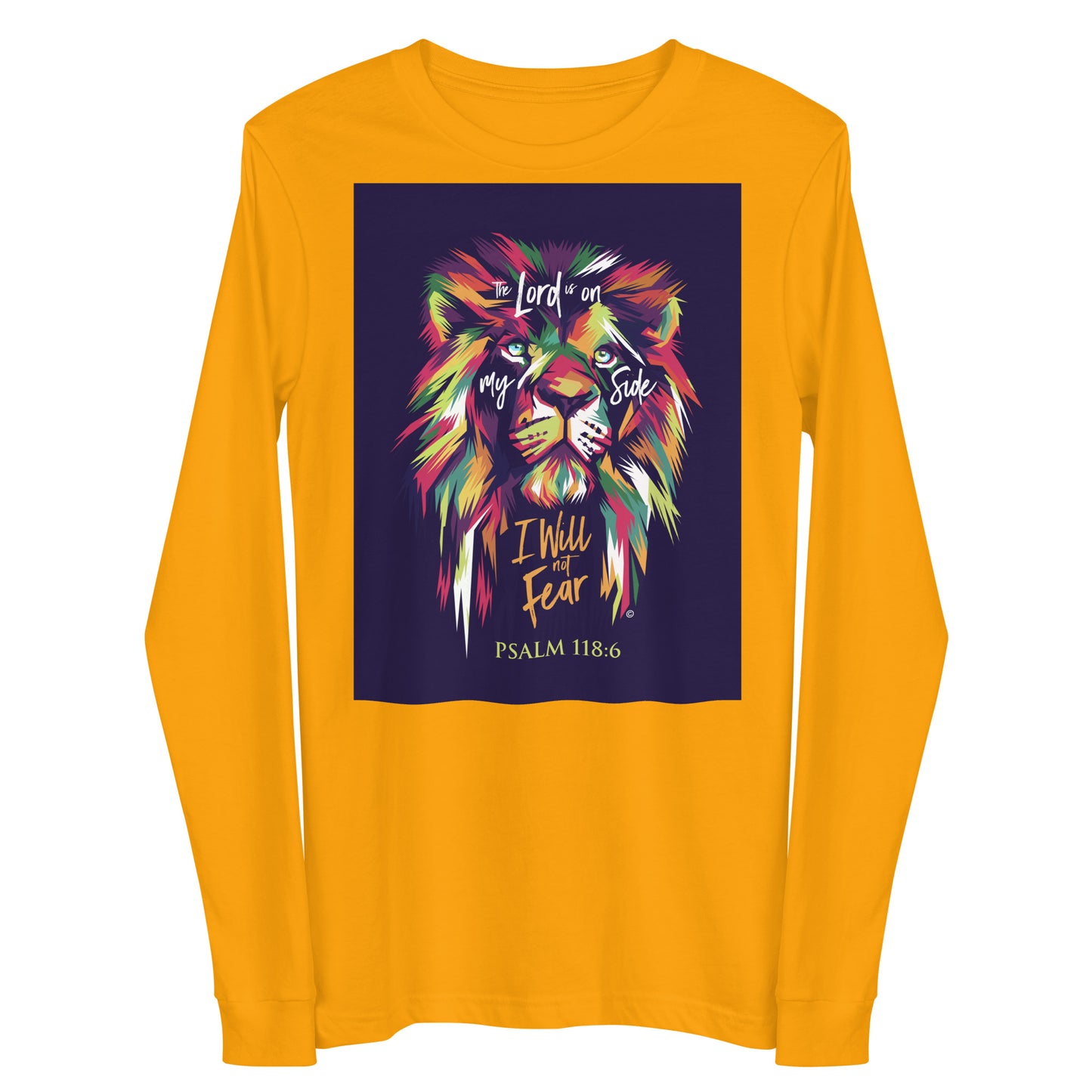 I Will Not Fear Women's Long Sleeve Tee