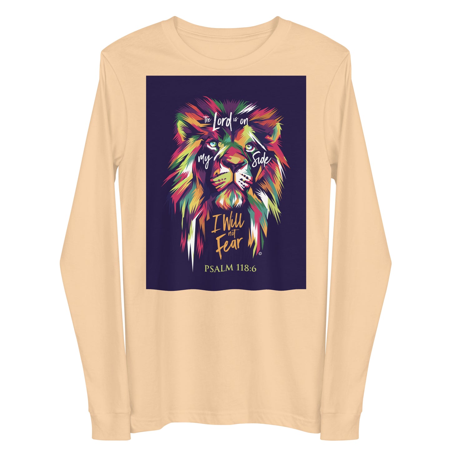 I Will Not Fear Women's Long Sleeve Tee