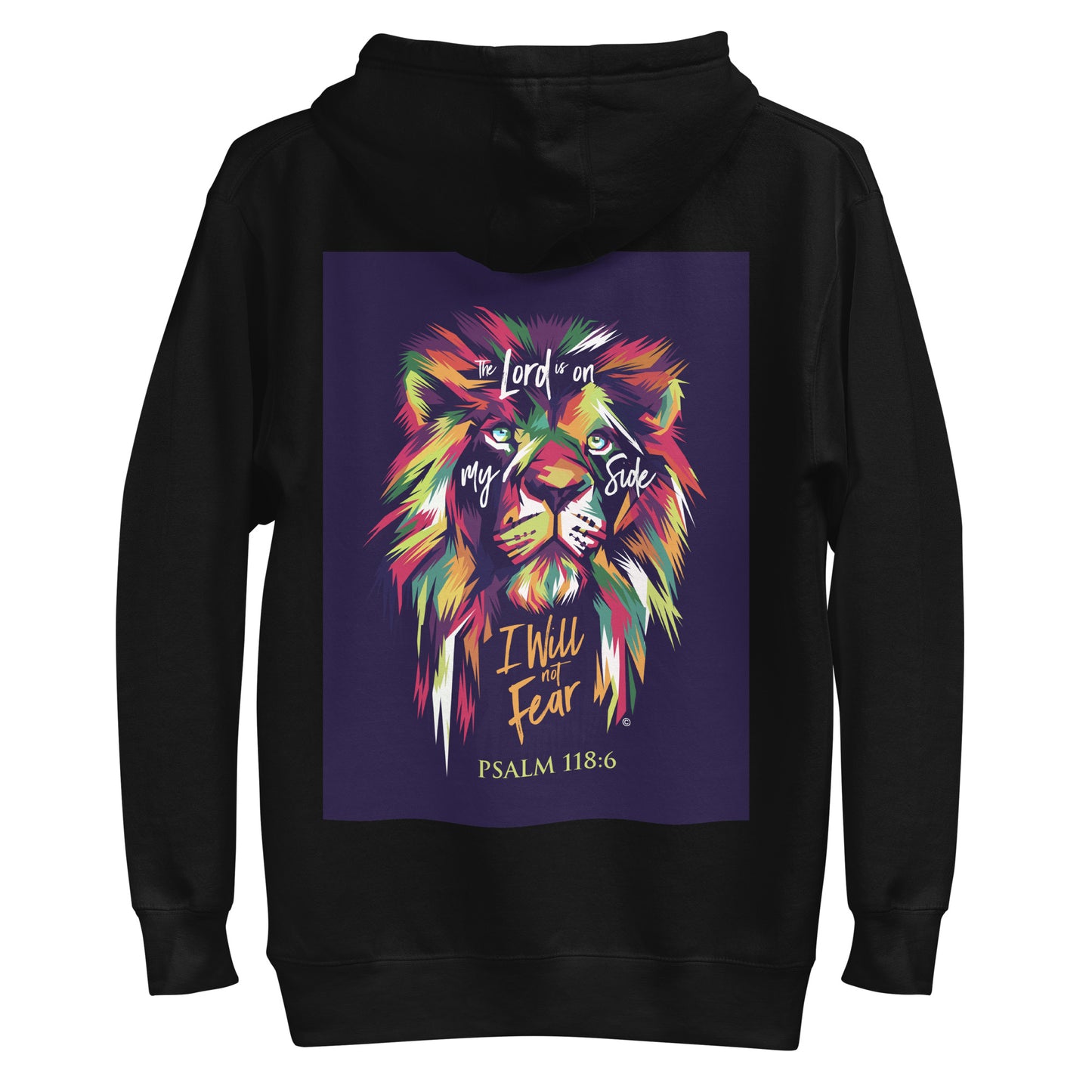 I Will Not Fear Men's Hoodie