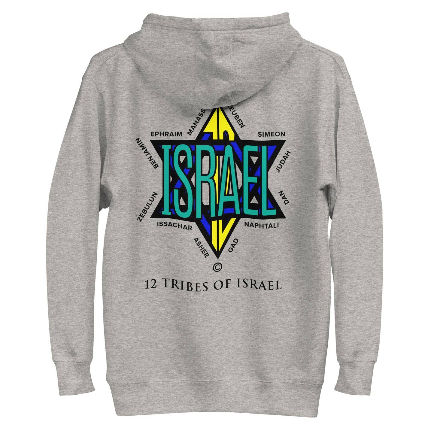 12 Tribes of Israel Women's Hoodie