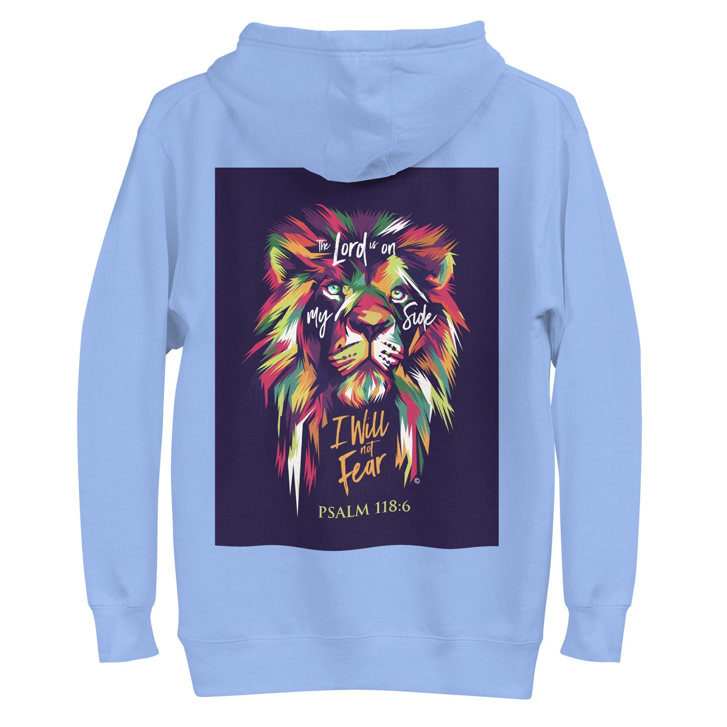 I Will Not Fear Men's Hoodie