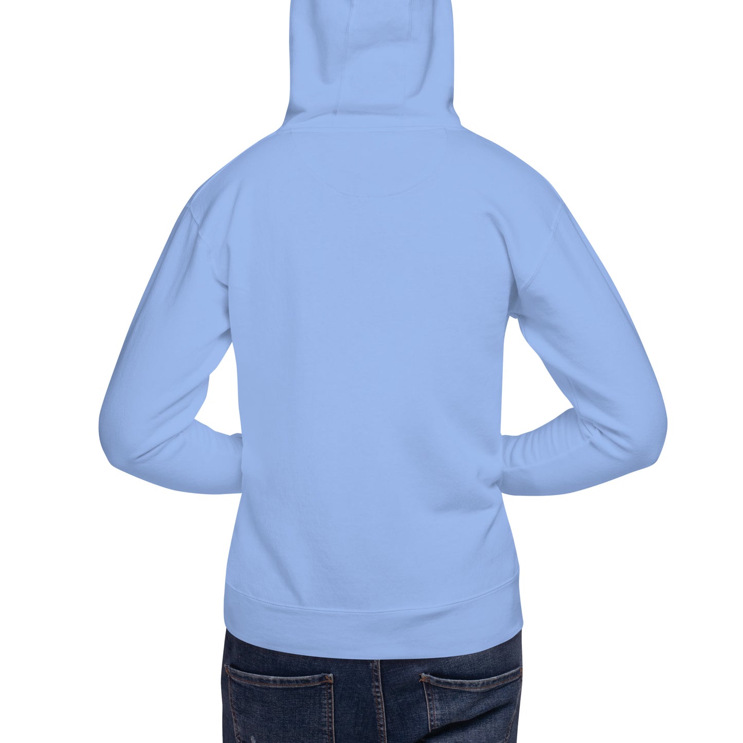 Jesus and the Twelve Men's Hoodie