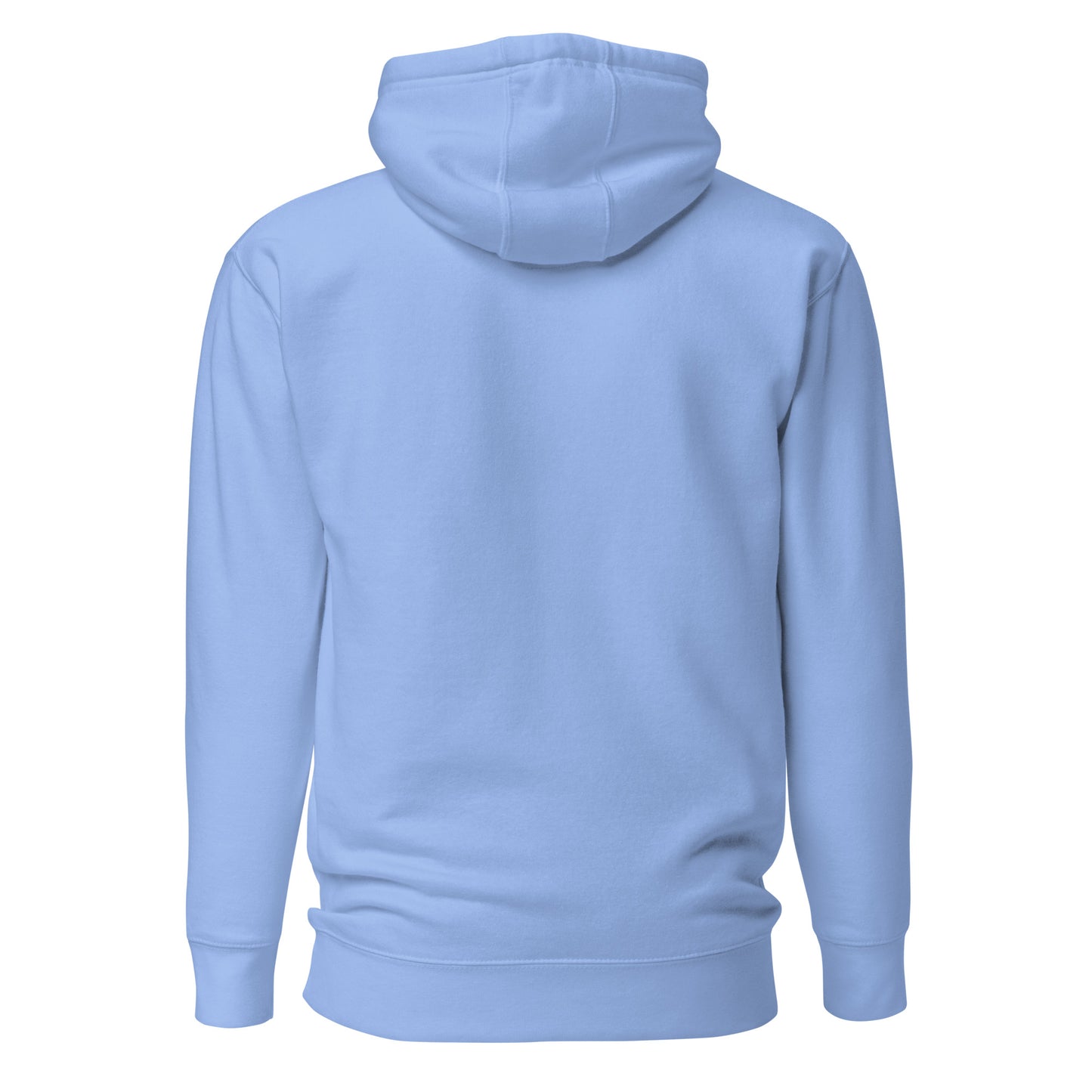 Jesus and the Twelve Men's Hoodie