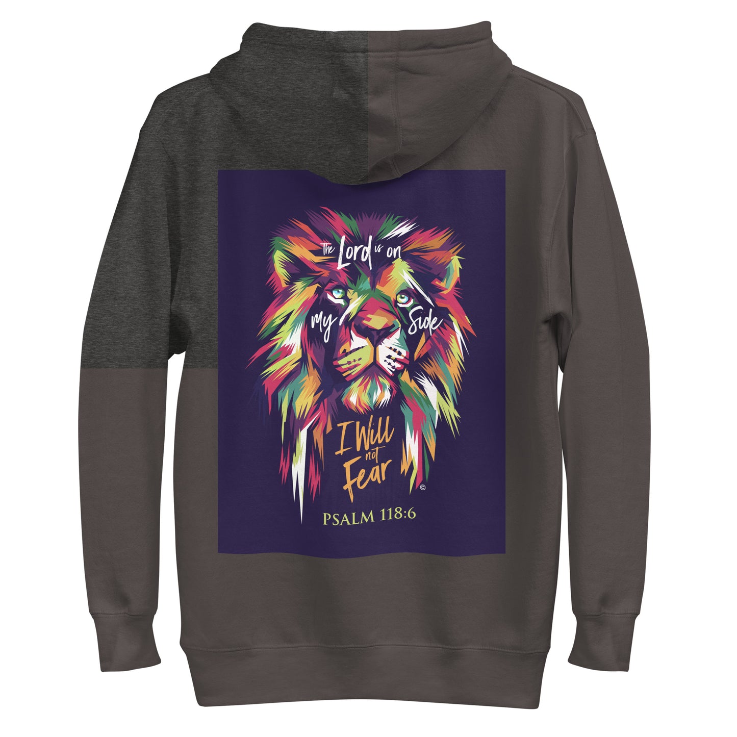 I Will Not Fear Men's Hoodie