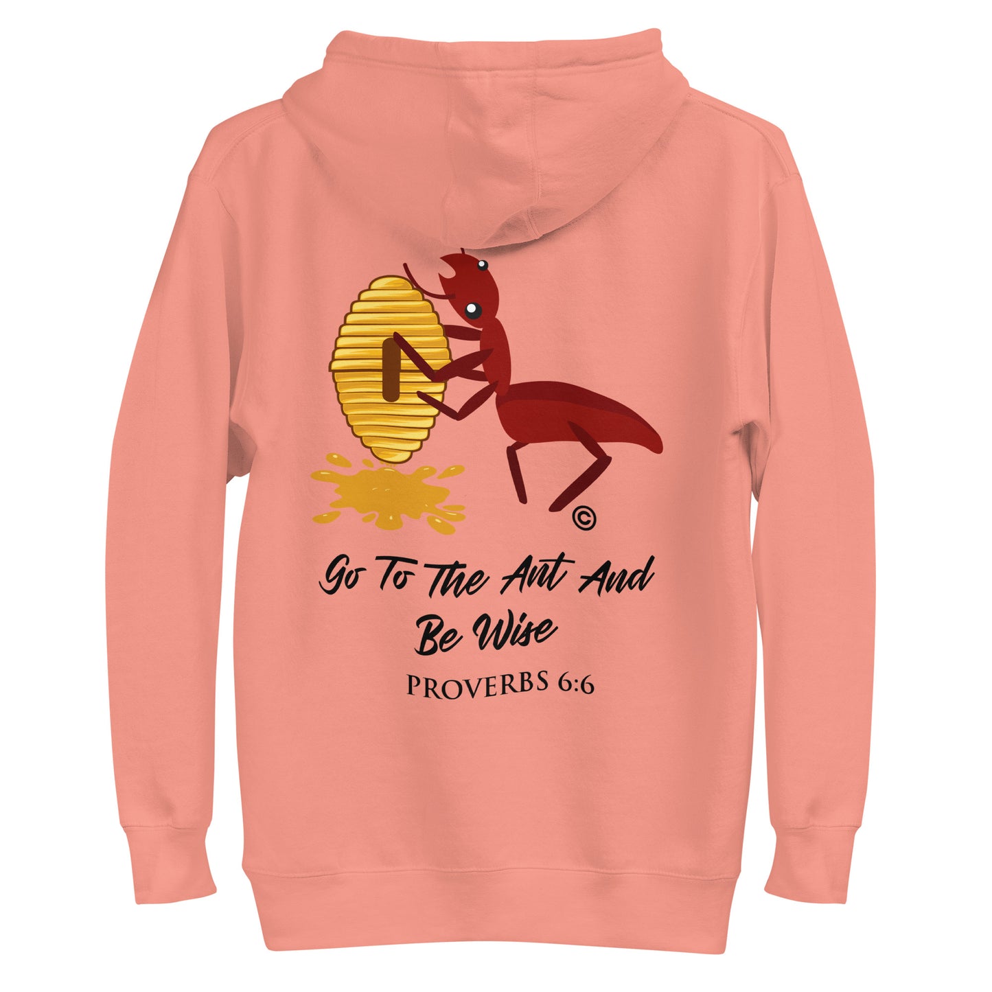 Be Wise Women's Hoodie