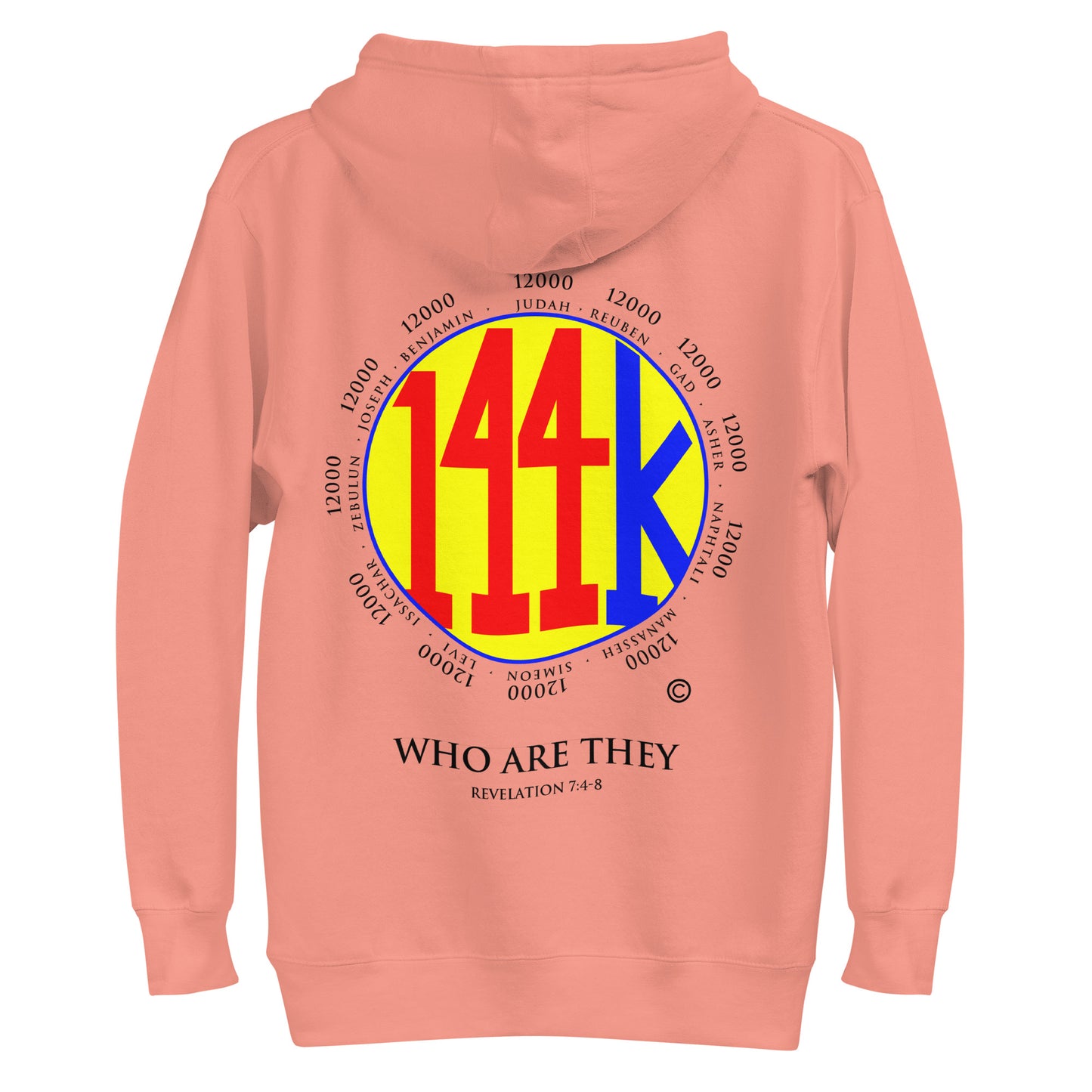 Who Are They Men's Hoodie