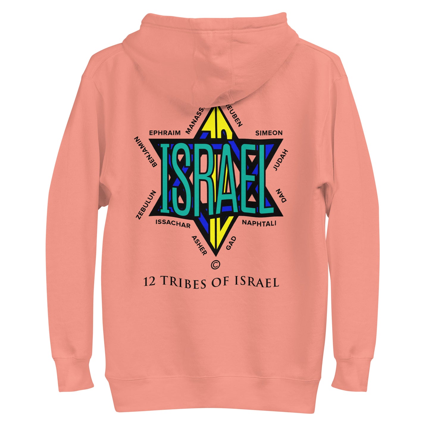 12 Tribes of Israel Women's Hoodie