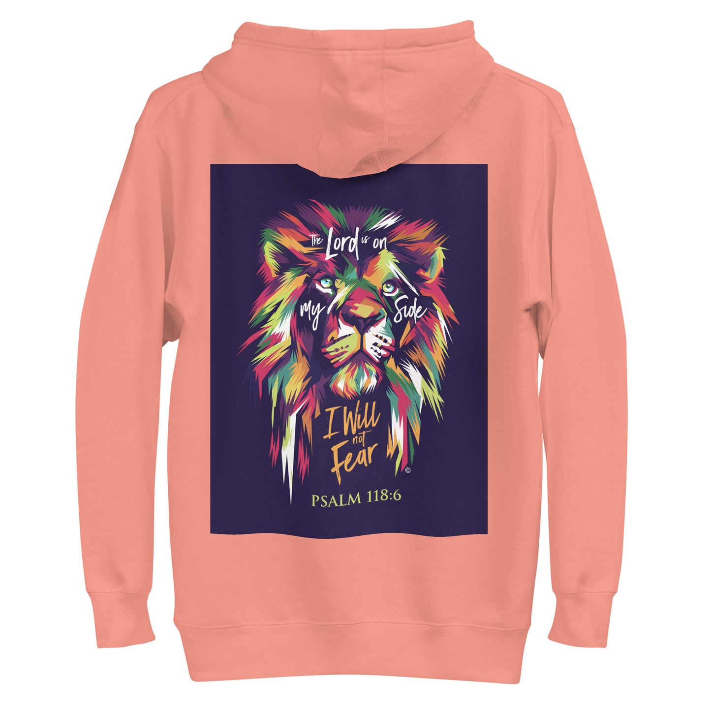 I Will Not Fear Men's Hoodie