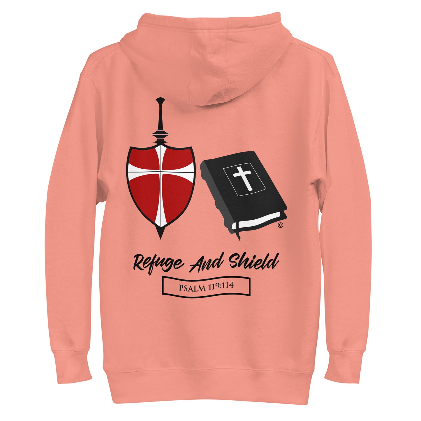 Refuge and Shield Men's Hoodie