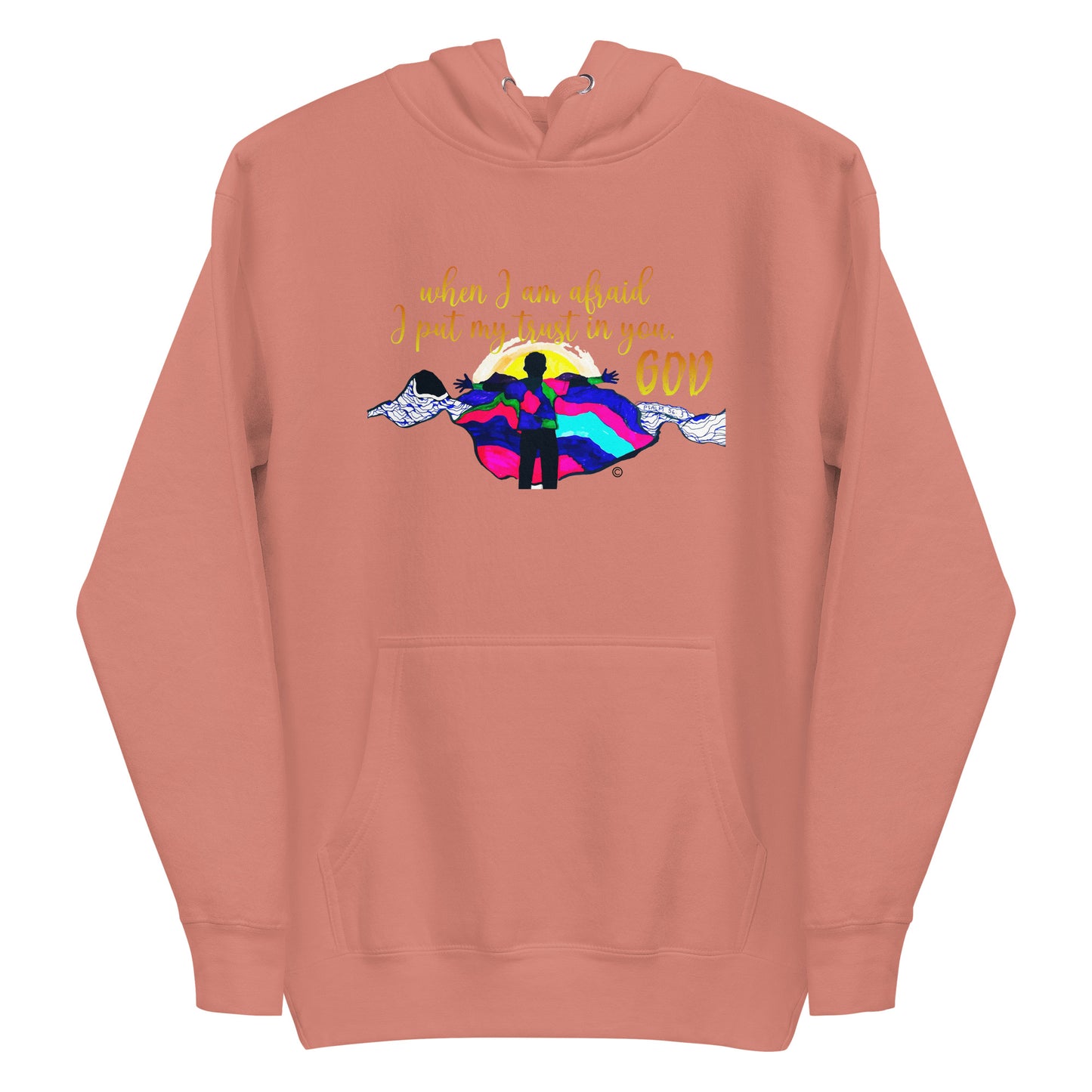 I Put My Trust in You Women's Hoodie