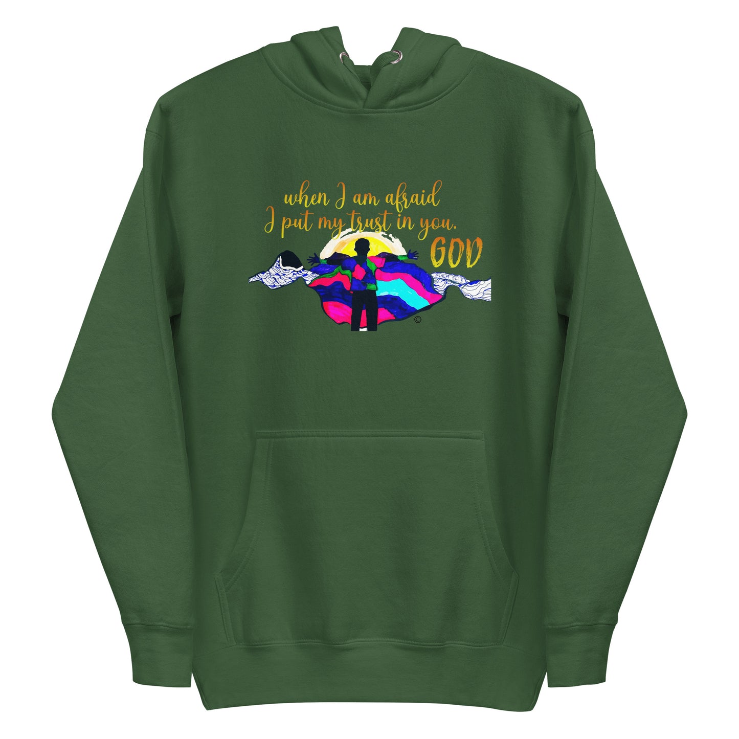 I Put My Trust in You Women's Hoodie