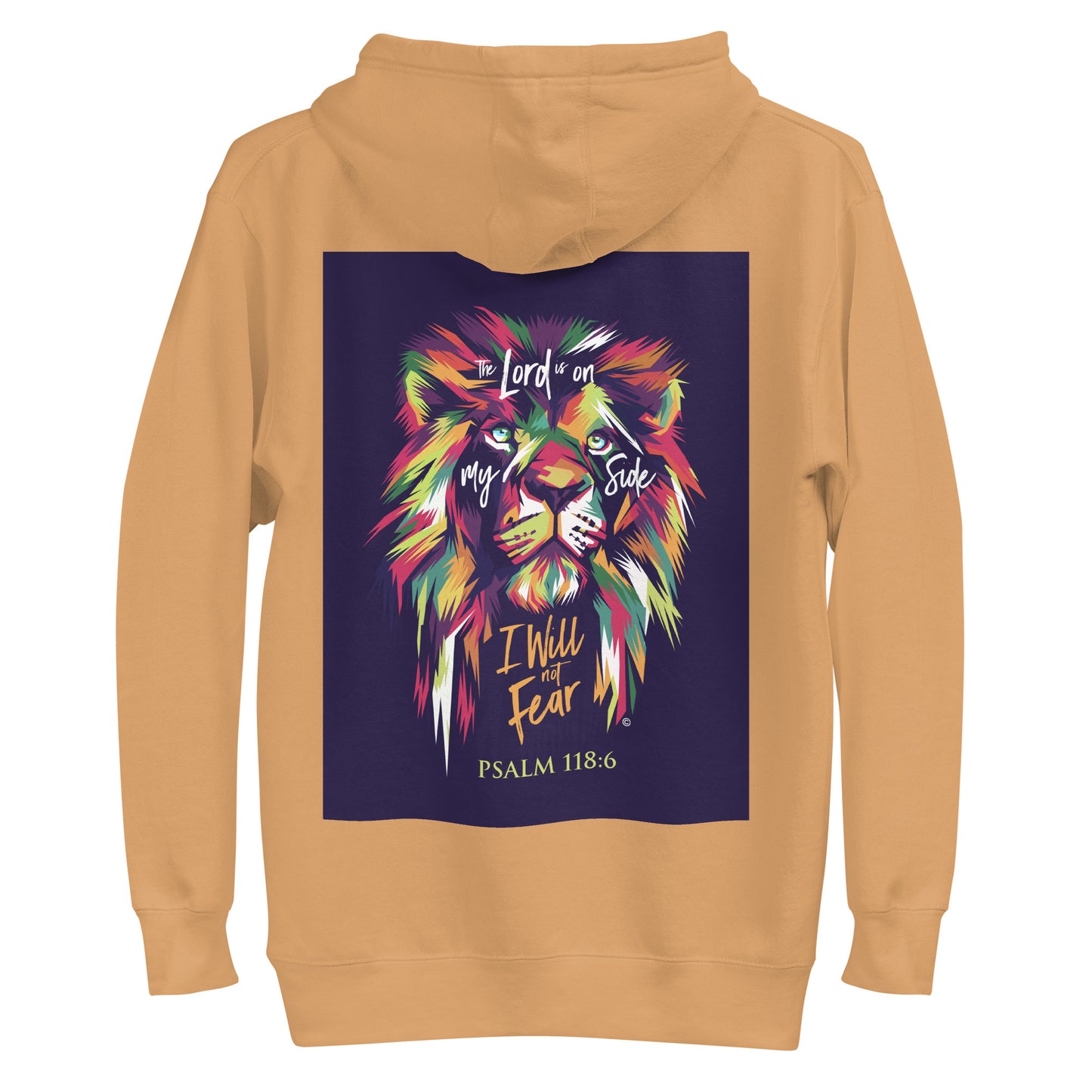 I Will Not Fear Women's Hoodie