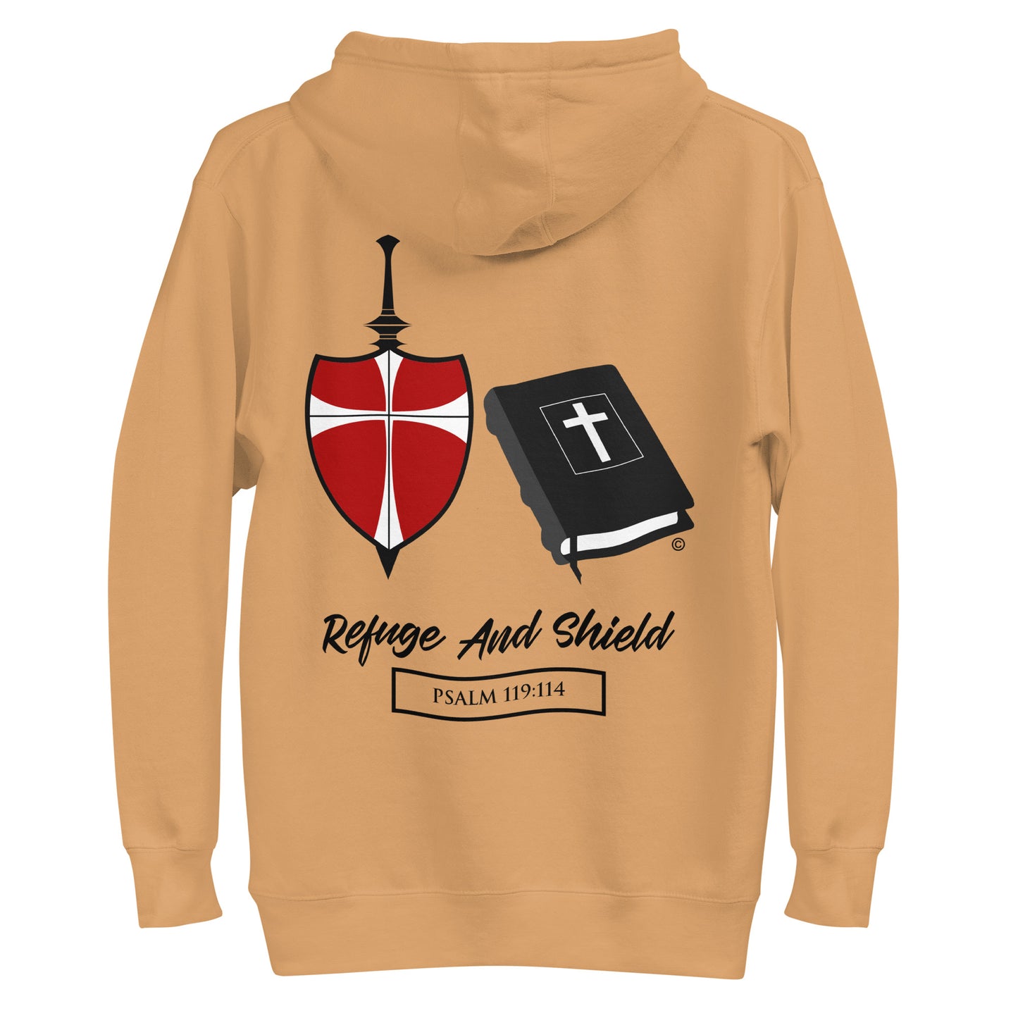 Refuge and Shield Men's Hoodie