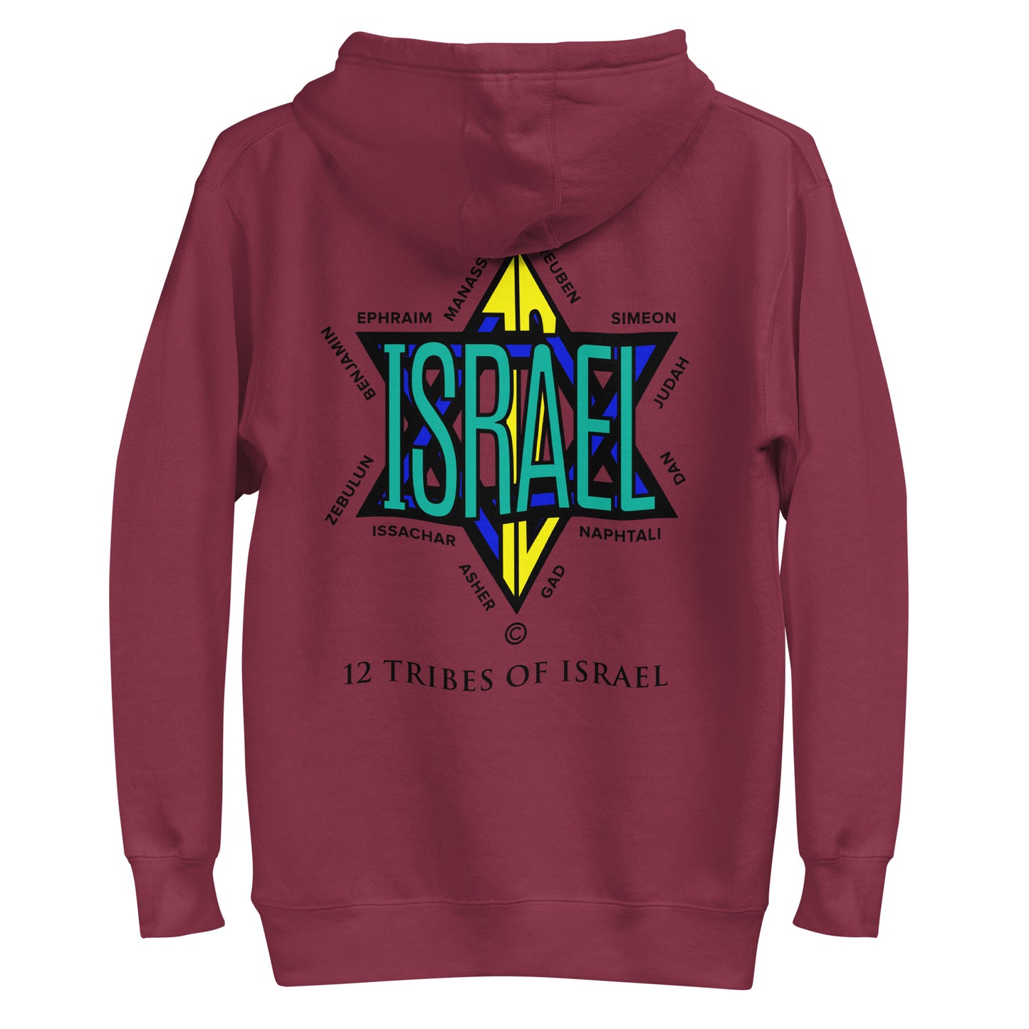12 Tribes of Israel Women's Hoodie