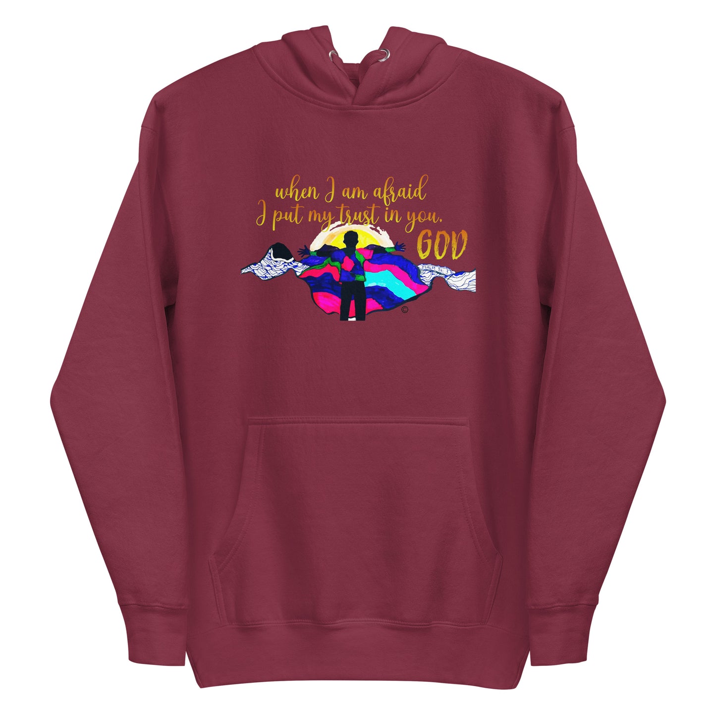 I Put My Trust in You Women's Hoodie