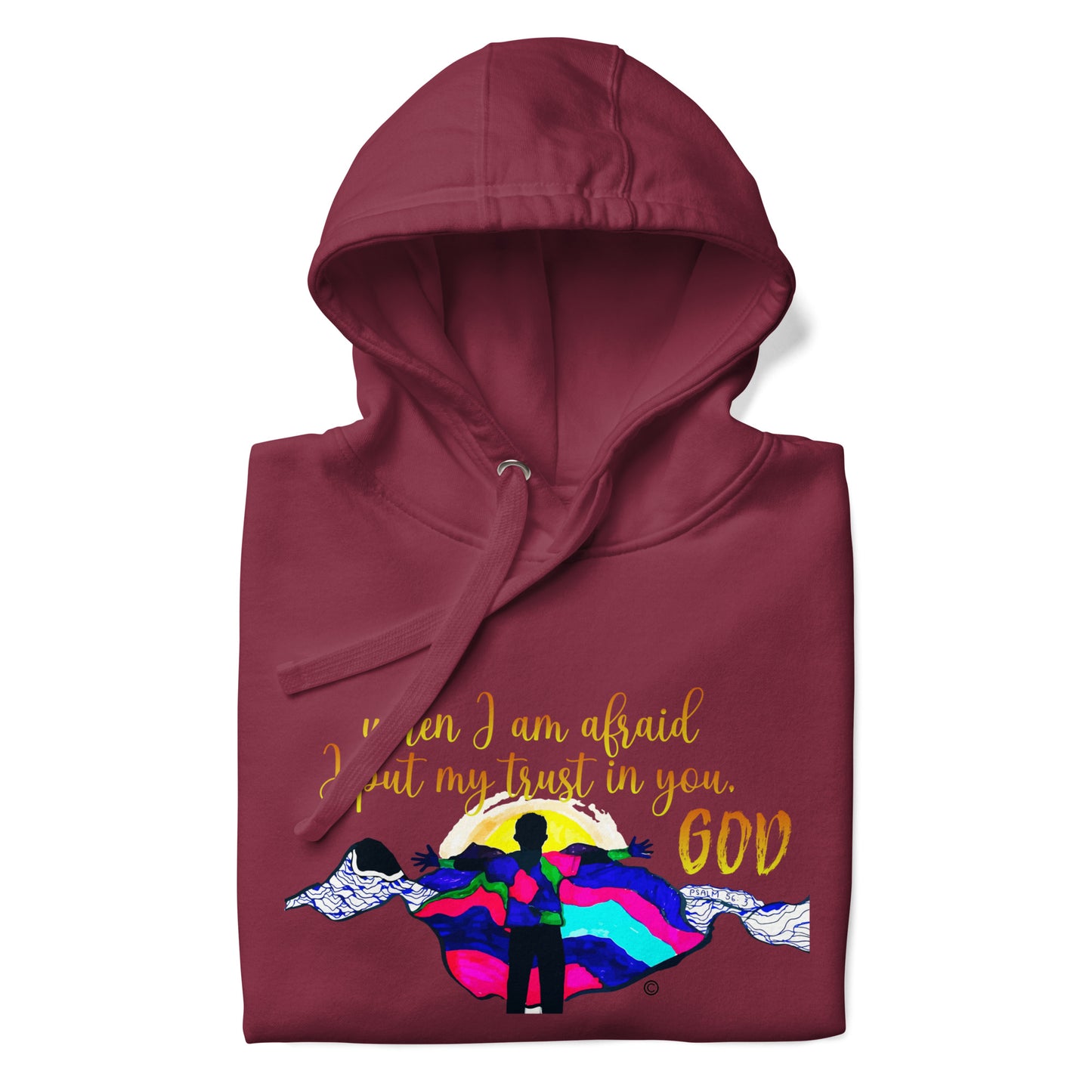 I Put My Trust in You Men's Hoodie