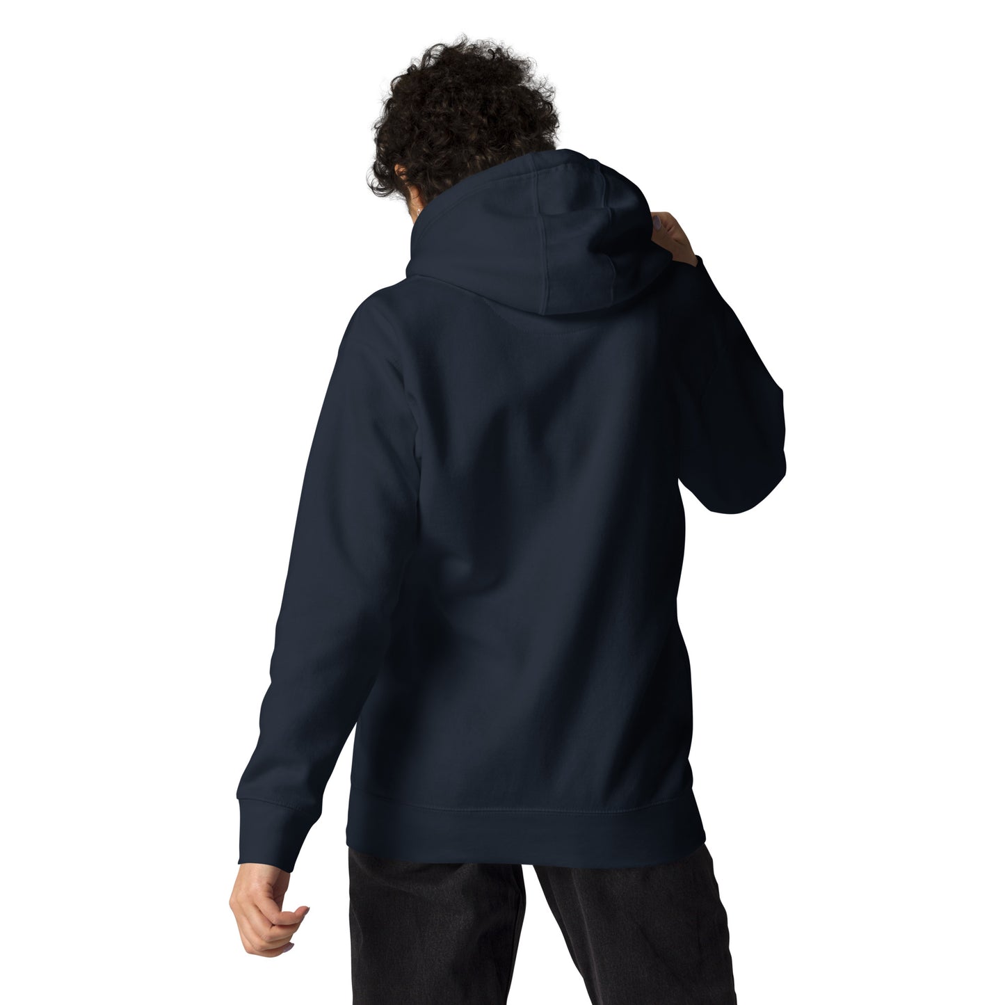 The Lion and the Lamb Men's Hoodie