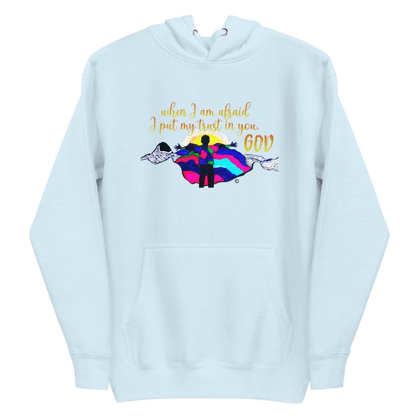 I Put My Trust in You Men's Hoodie