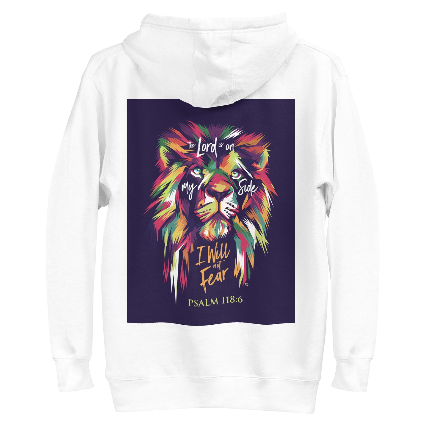 I Will Not Fear Men's Hoodie