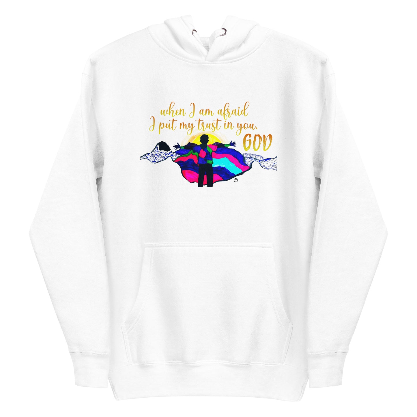 I Put My Trust in You Women's Hoodie