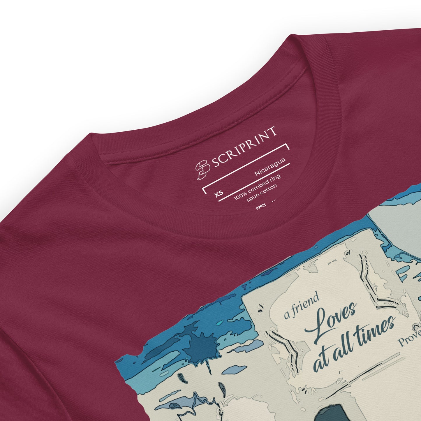 A Friend Loves At All Times Women's T-Shirt