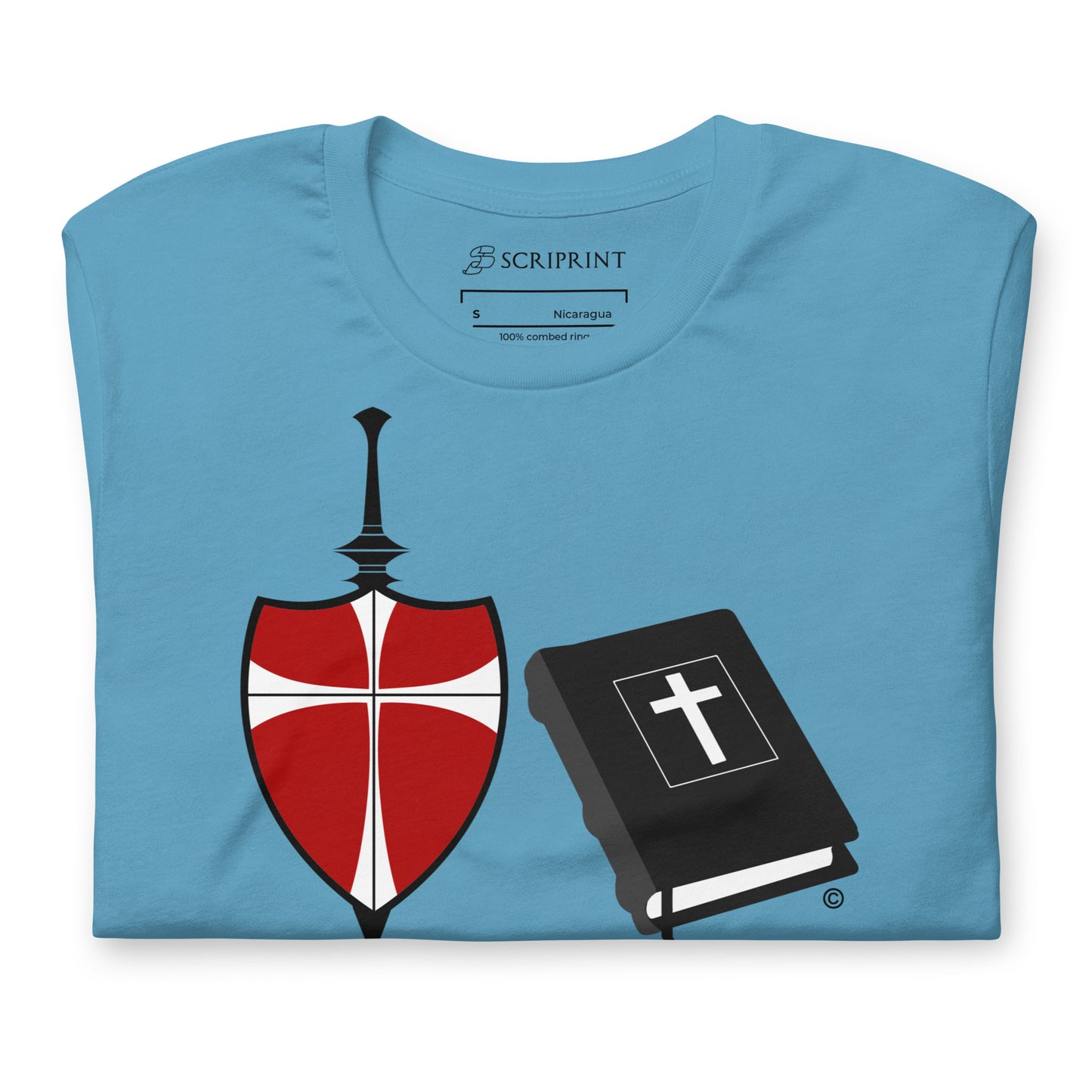 Refuge and Shield Men's T-Shirt