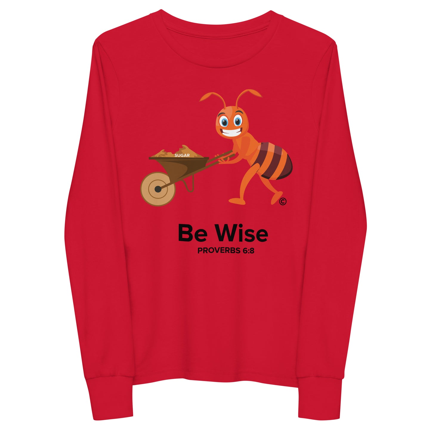 Be Wise Youth Long Sleeve Tee