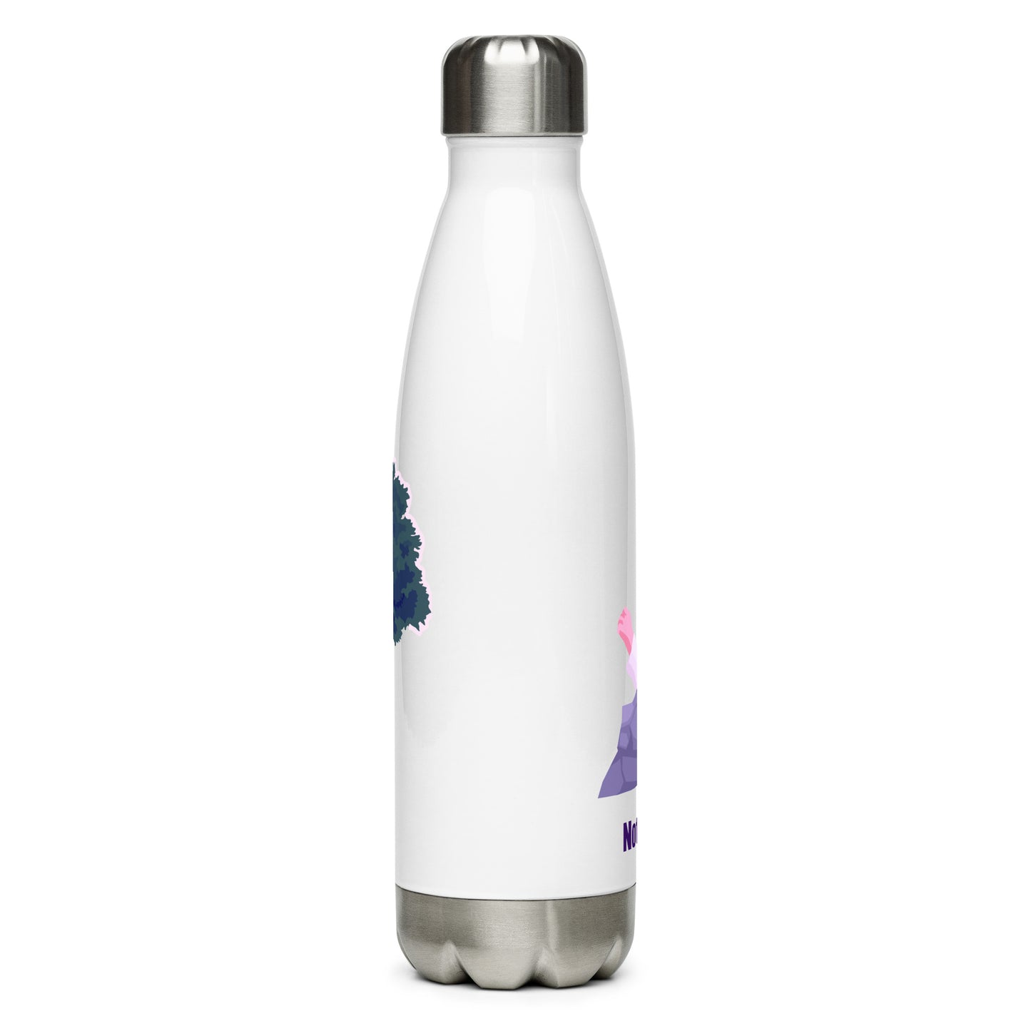 Not My Will Stainless Steel Water Bottle