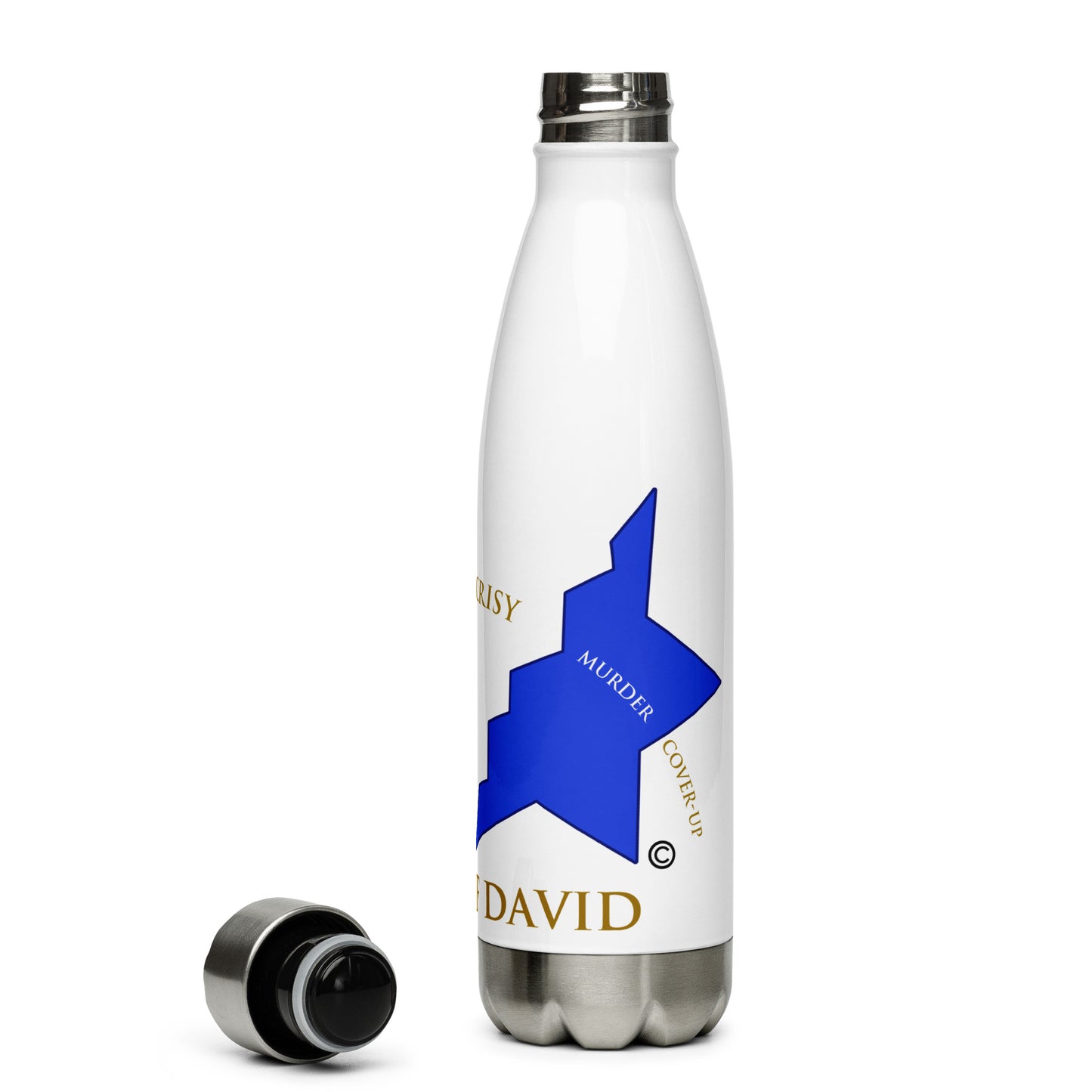 Scars of David Stainless Steel Water Bottle