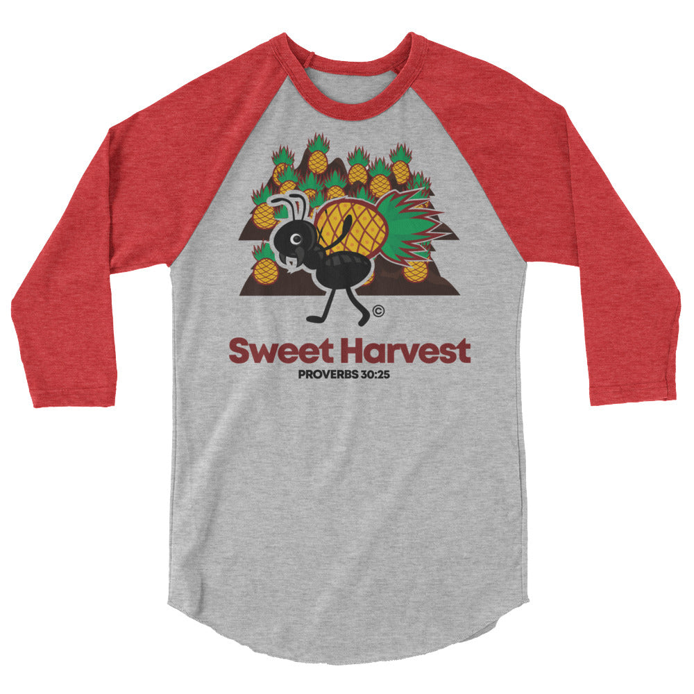 Sweet Harvest Men's 3/4 Sleeve Raglan Shirt