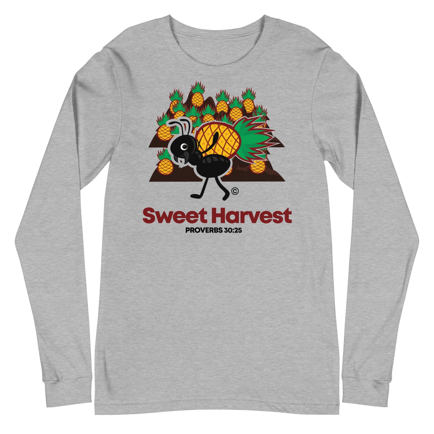 Sweet Harvest Women's Long Sleeve Tee