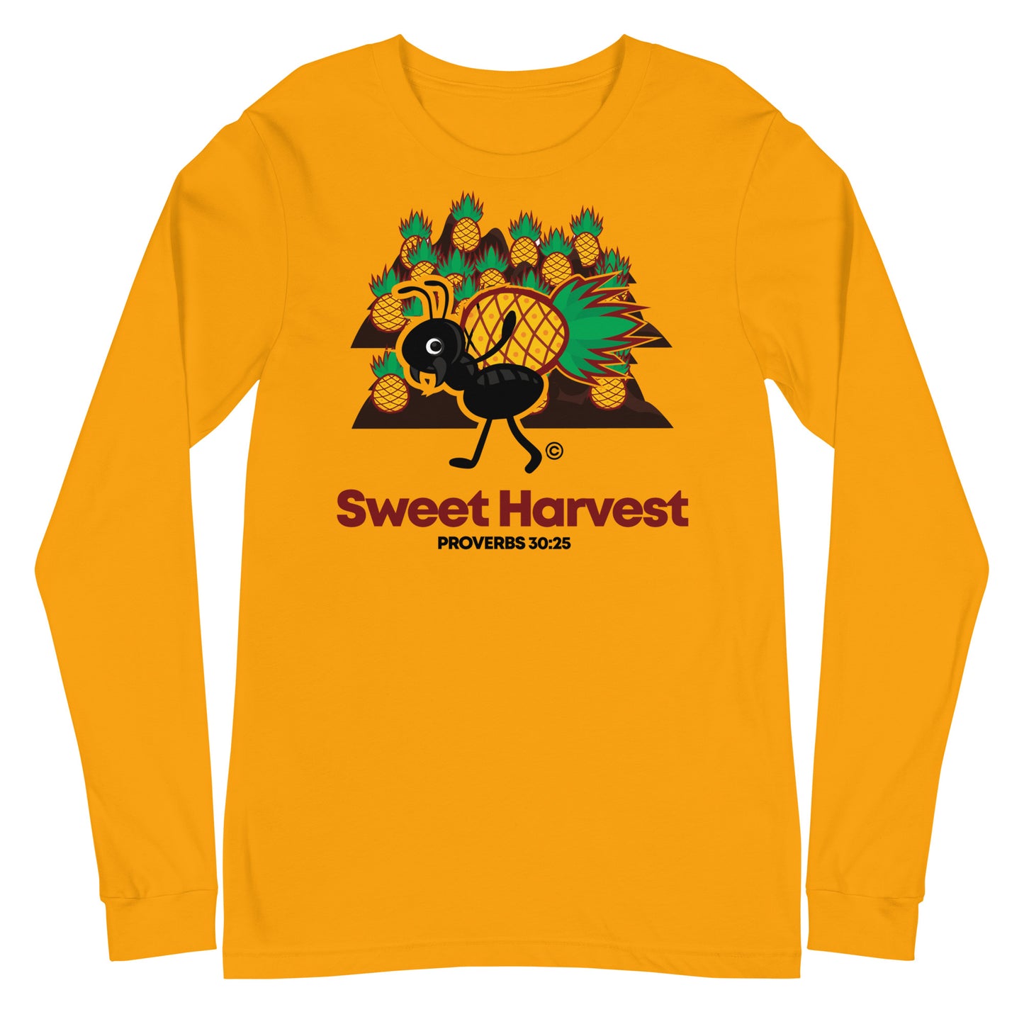 Sweet Harvest Women's Long Sleeve Tee